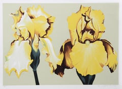 Two Yellow Irises on Sage II