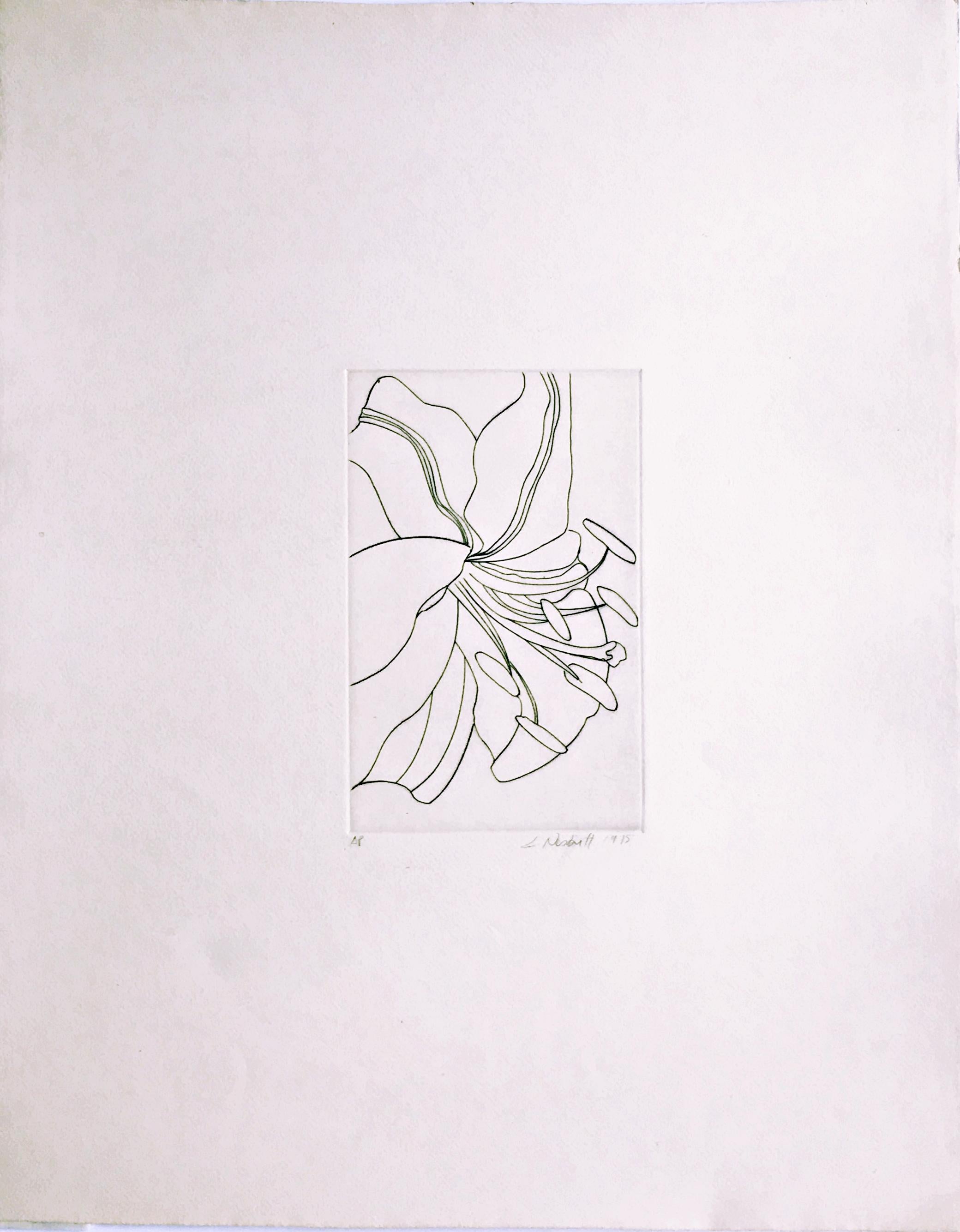 Untitled Flower - Modern Print by Lowell Nesbitt