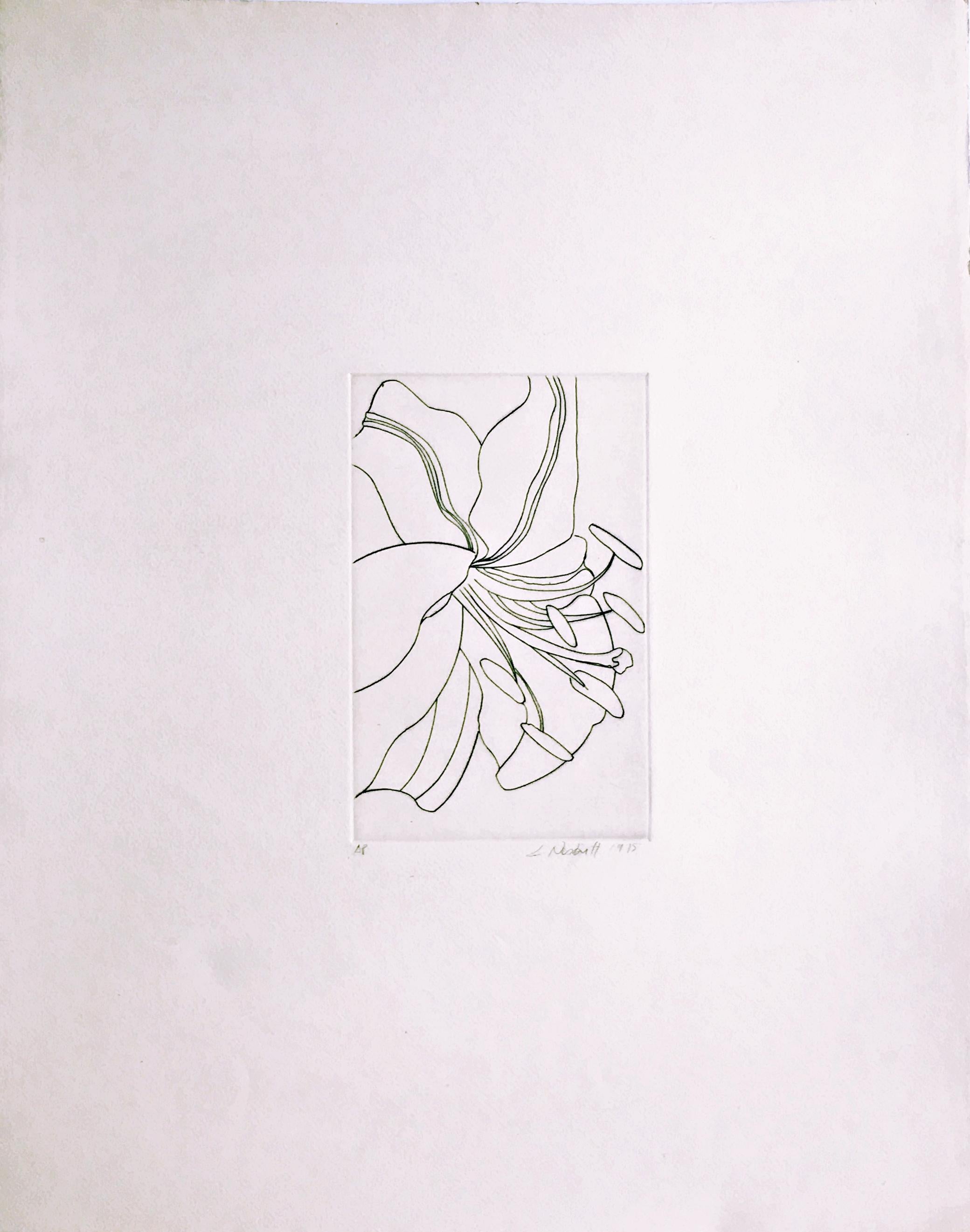 Lowell Nesbitt
Blume ohne Titel, 1975
Radierung auf Velinpapier
Handsigniert, nummeriert AP und datiert auf der Vorderseite
24 × 19 Zoll
Ungerahmt
Die ergreifende und exquisit ausgeführte Radierung einer Blume von Lowell Nesbitt ist ein schönes