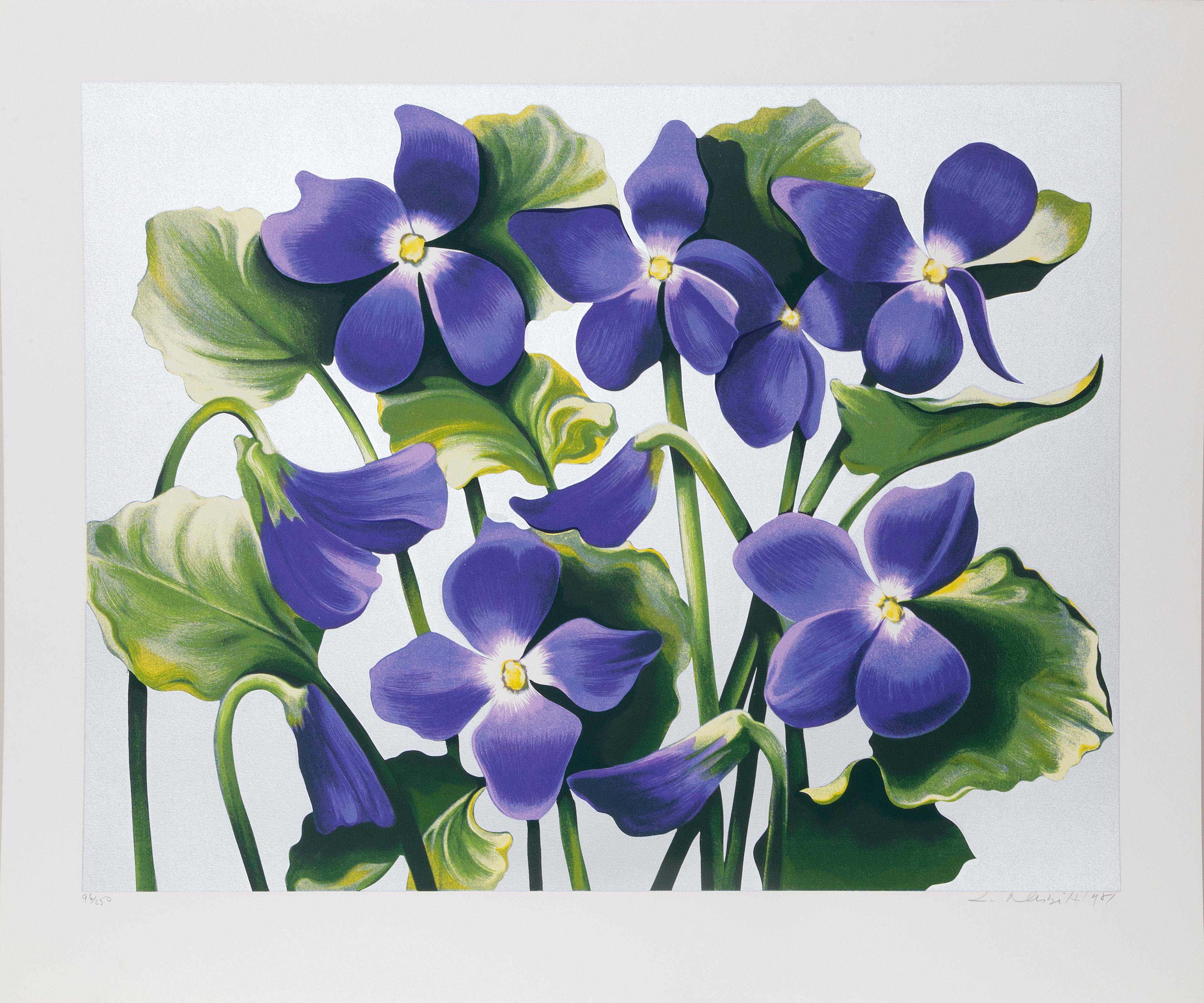 Viola Adorata, Serigrafía fotorrealista de Lowell Nesbitt
