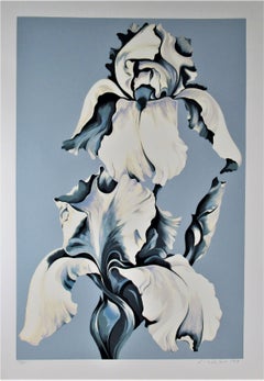 White and Blue Irises