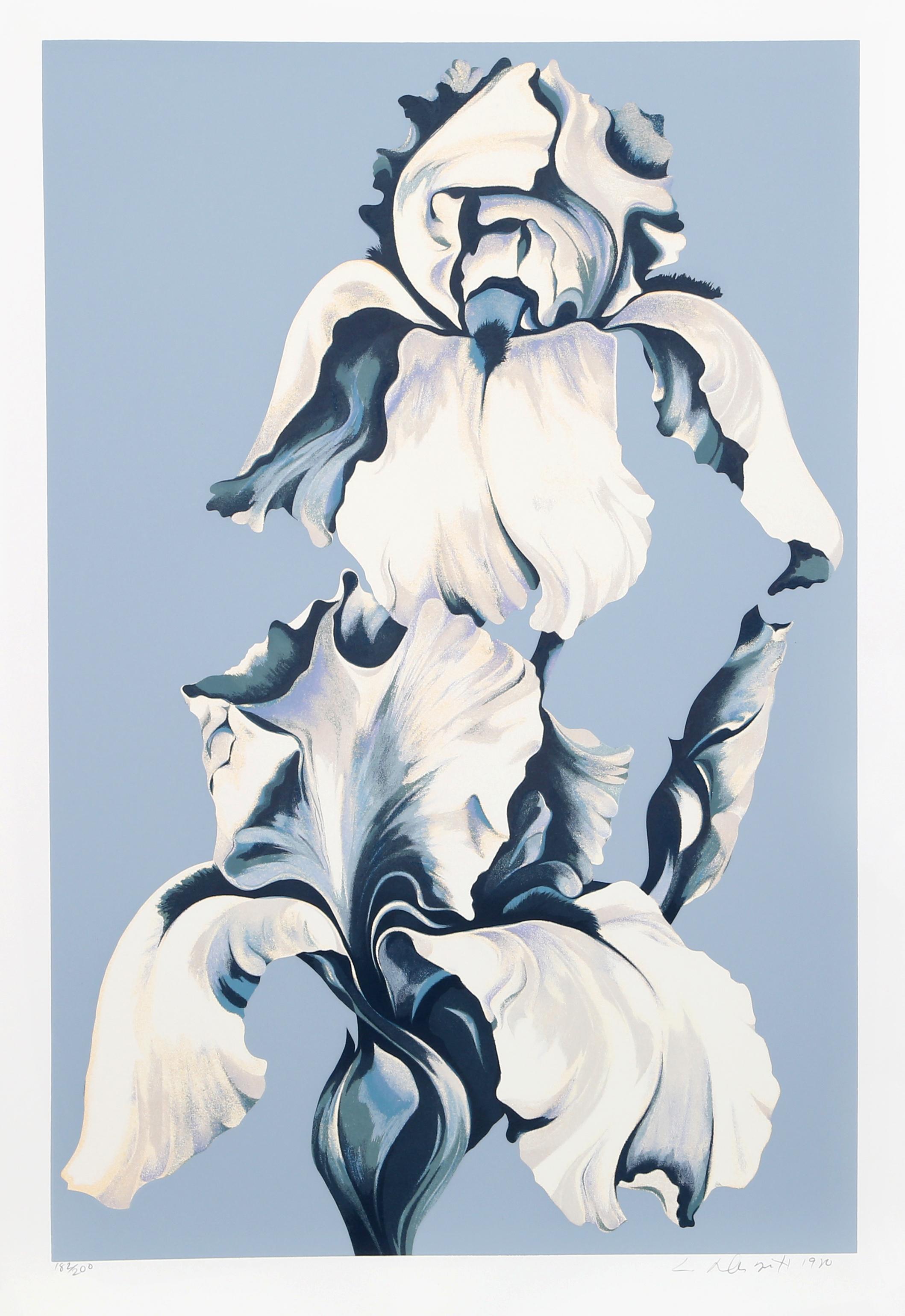 Iris bianche su blu, serigrafia fotorealista di Lowell Nesbitt