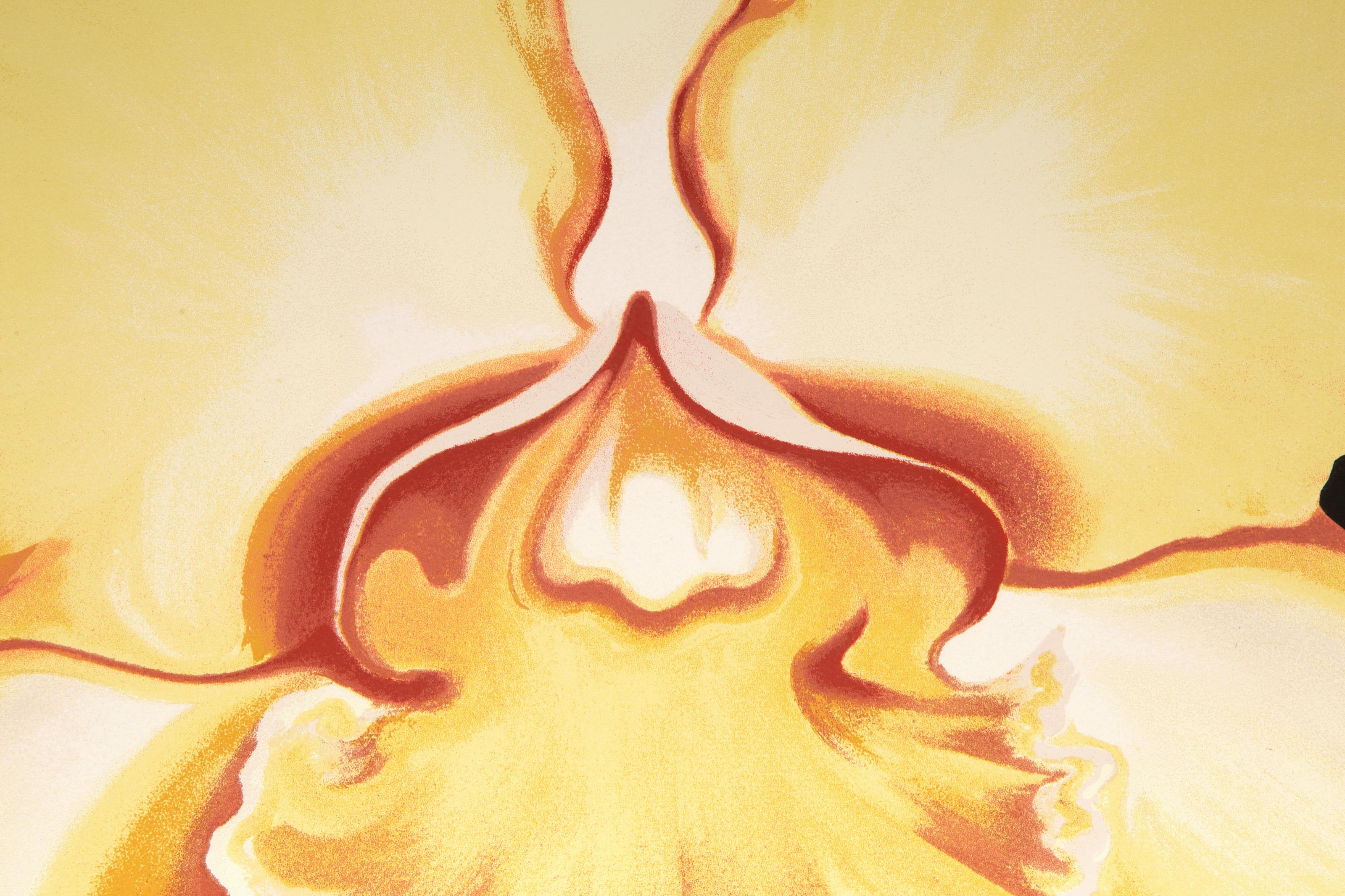 Iris amarillo, serigrafía fotorrealista sobre papel de Lowell Nesbitt en venta 1