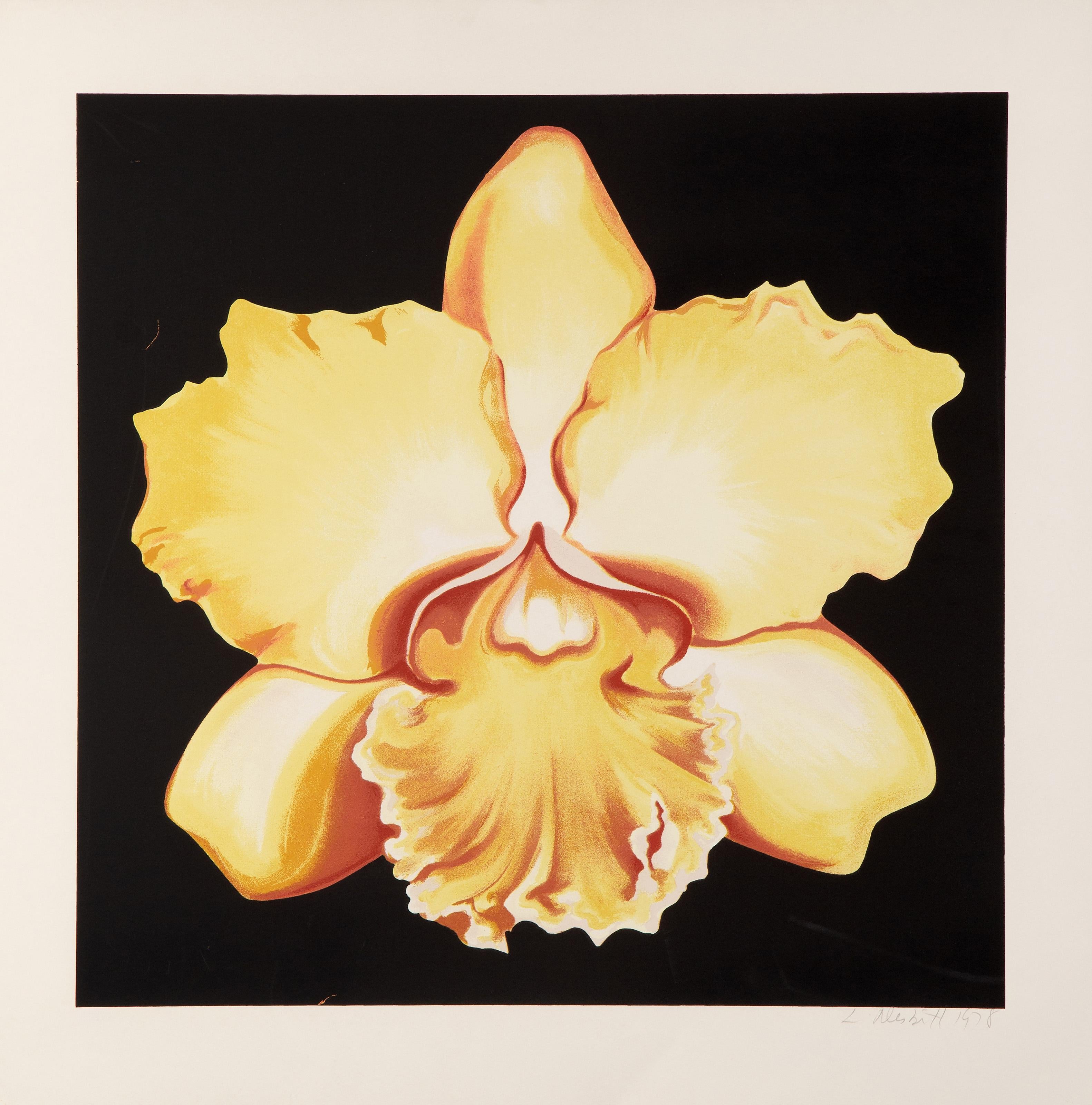 Gelber Iris, fotorealistischer Siebdruck auf Papier von Lowell Nesbitt