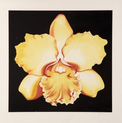 Gelber Iris, fotorealistischer Siebdruck auf Papier von Lowell Nesbitt