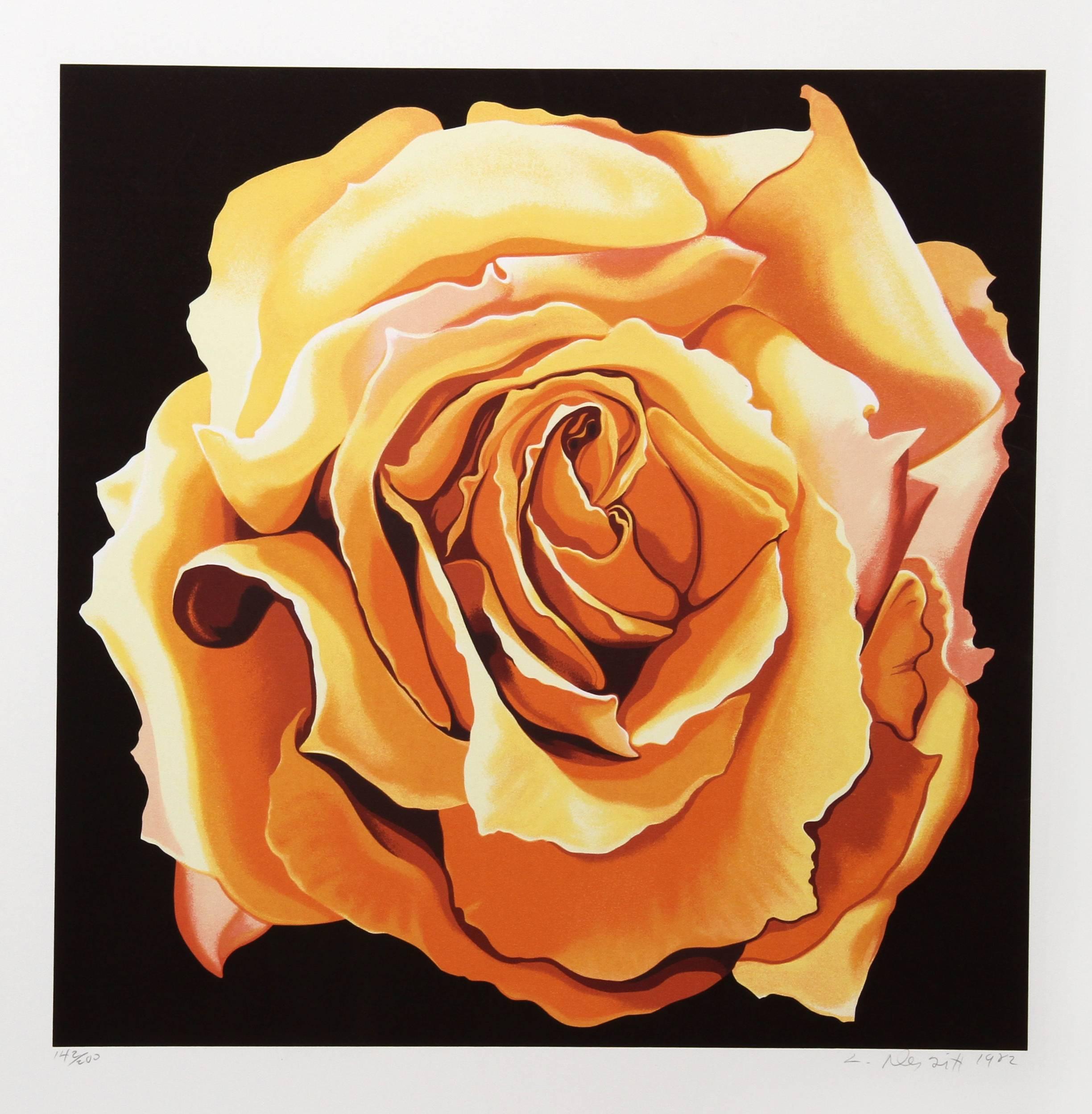 Künstler: Lowell Blair Nesbitt, Amerikaner (1933 - 1993)
Titel: Gelbe Rose
Jahr: 1982
Medium: Siebdruck, signiert und nummeriert mit Bleistift
Auflage: 200
Bildgröße: 25 x 25 Zoll
Größe: 33 Zoll x 31 Zoll (83,82 cm x 78,74 cm)