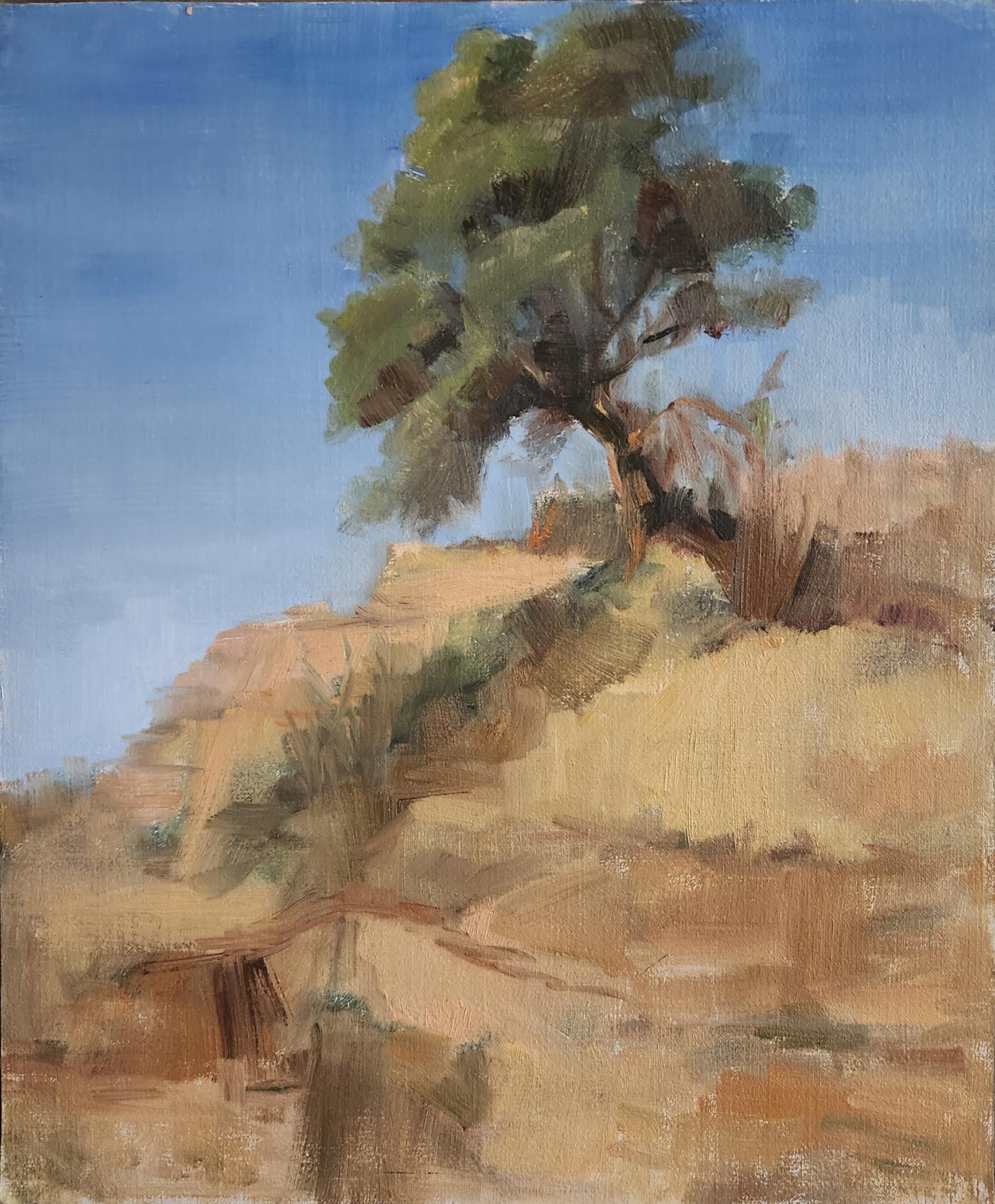 Pine on the Backbone, 12x9" oil on board - Painting by Lu Haskew