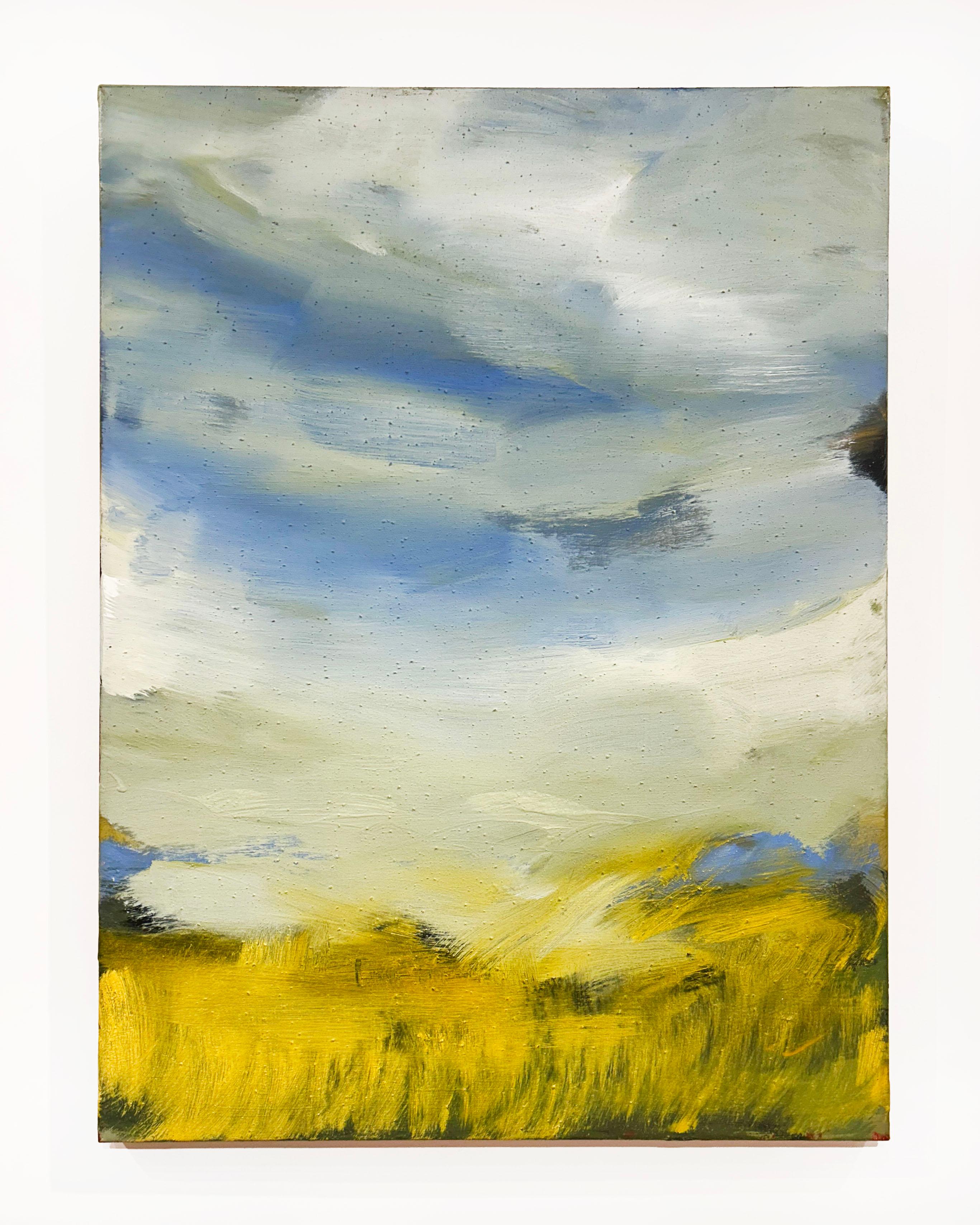 Artist:  Leestemaker, Luc
Title:  2008.06
Date:  2008
Medium:  Mixed Media
Unframed Dimensions:  40