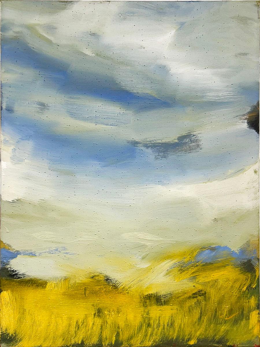 Luc Leestemaker "2008.06" Abstract Landscape