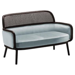 Luc Sofa Klein mit Eschenholz-Asche-056-5 und Paris Safira