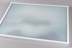 Luc Tuymans, Altar (para Documenta 11) - 2002, Caja de Luz, Impresión firmada