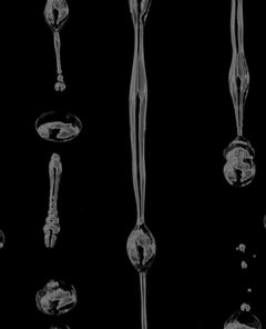 Biltmore water 08invbnso, Still life Black and White Limited edition Photography