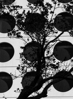 Miami Downtown,  Black and White Architectural  Landscape Photography