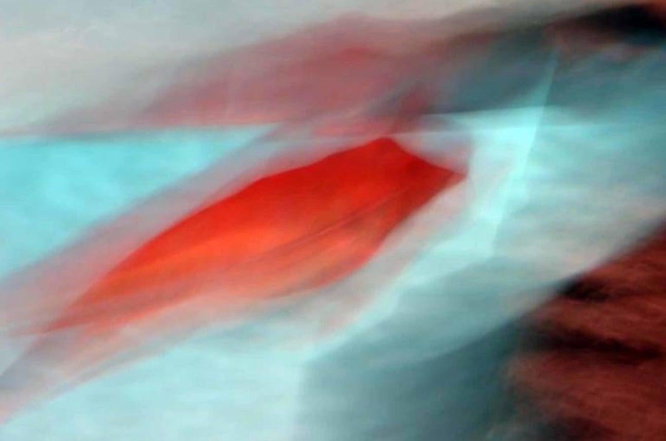 Red Fish Destruction. Quadriptych.  Limited edition color photography - Modern Photograph by Luca Artioli