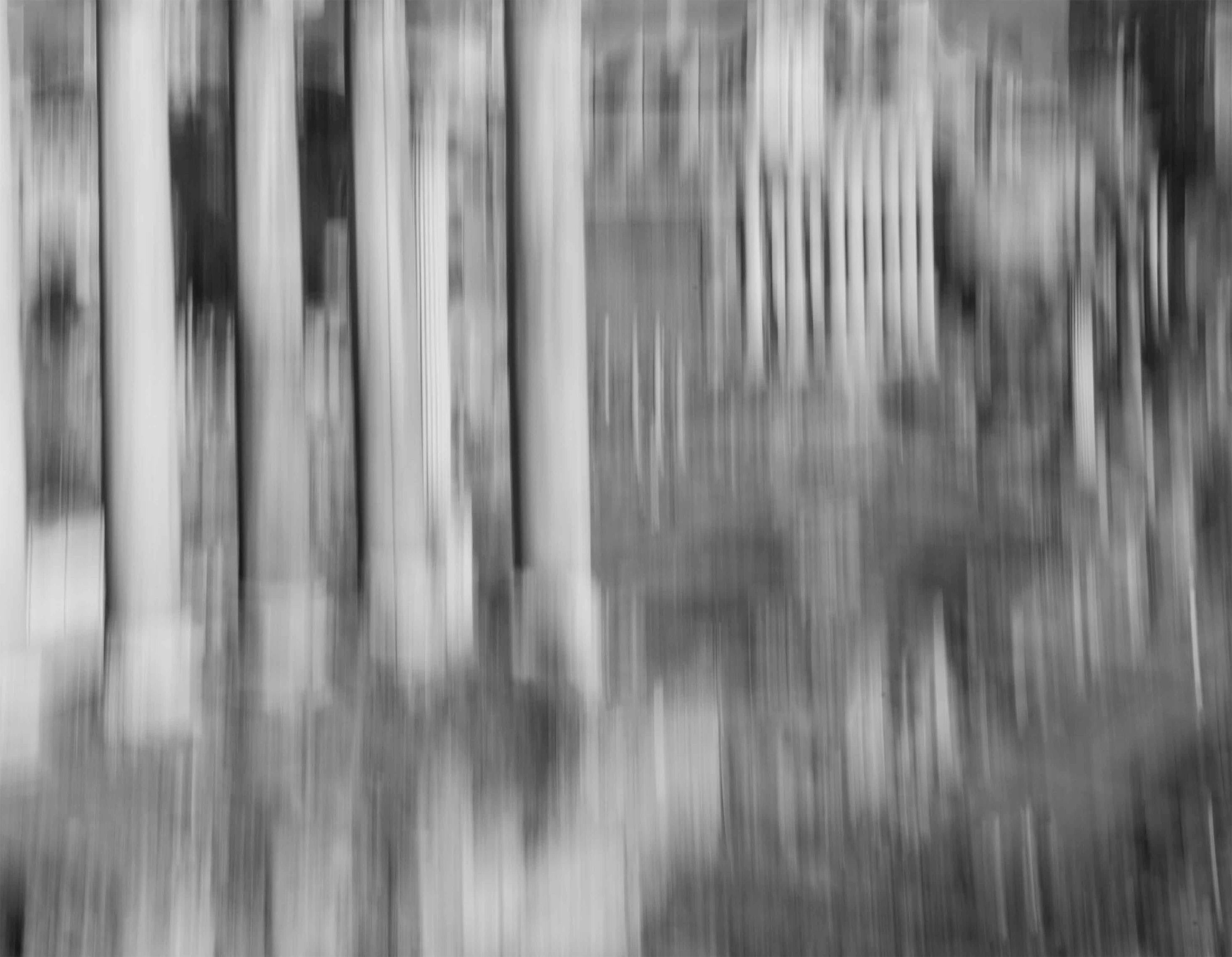 Roma 2020 A 09bn, Black and White Architecture Photograph - Gray Landscape Photograph by Luca Artioli