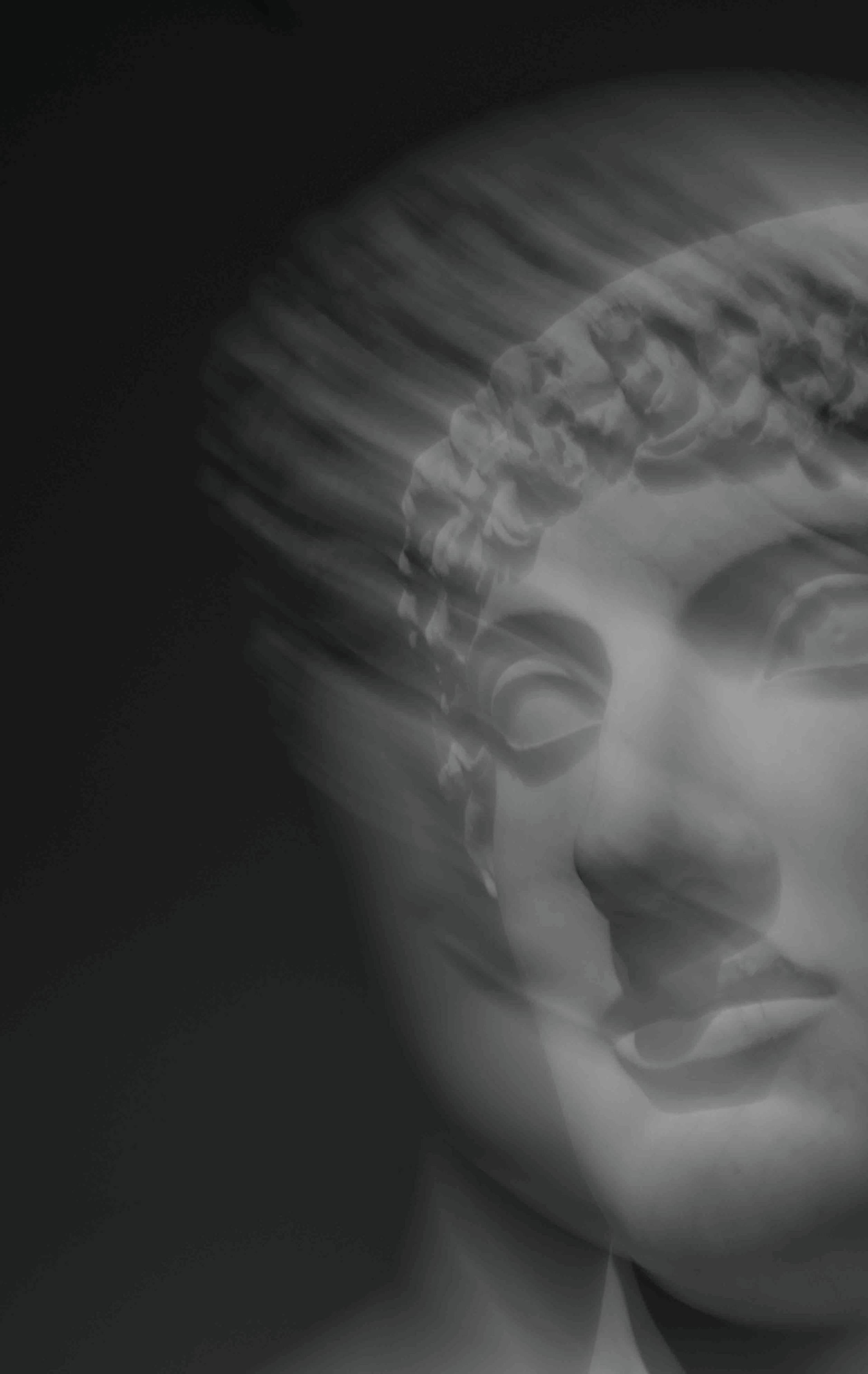 Luca Artioli has always been fascinated by Roman Statues. As a child, he wandered through the Imperial Forum creating dialogues between them. For young Luca the statues were alive. The marble was not cold or lifeless, but warm and vibrating with