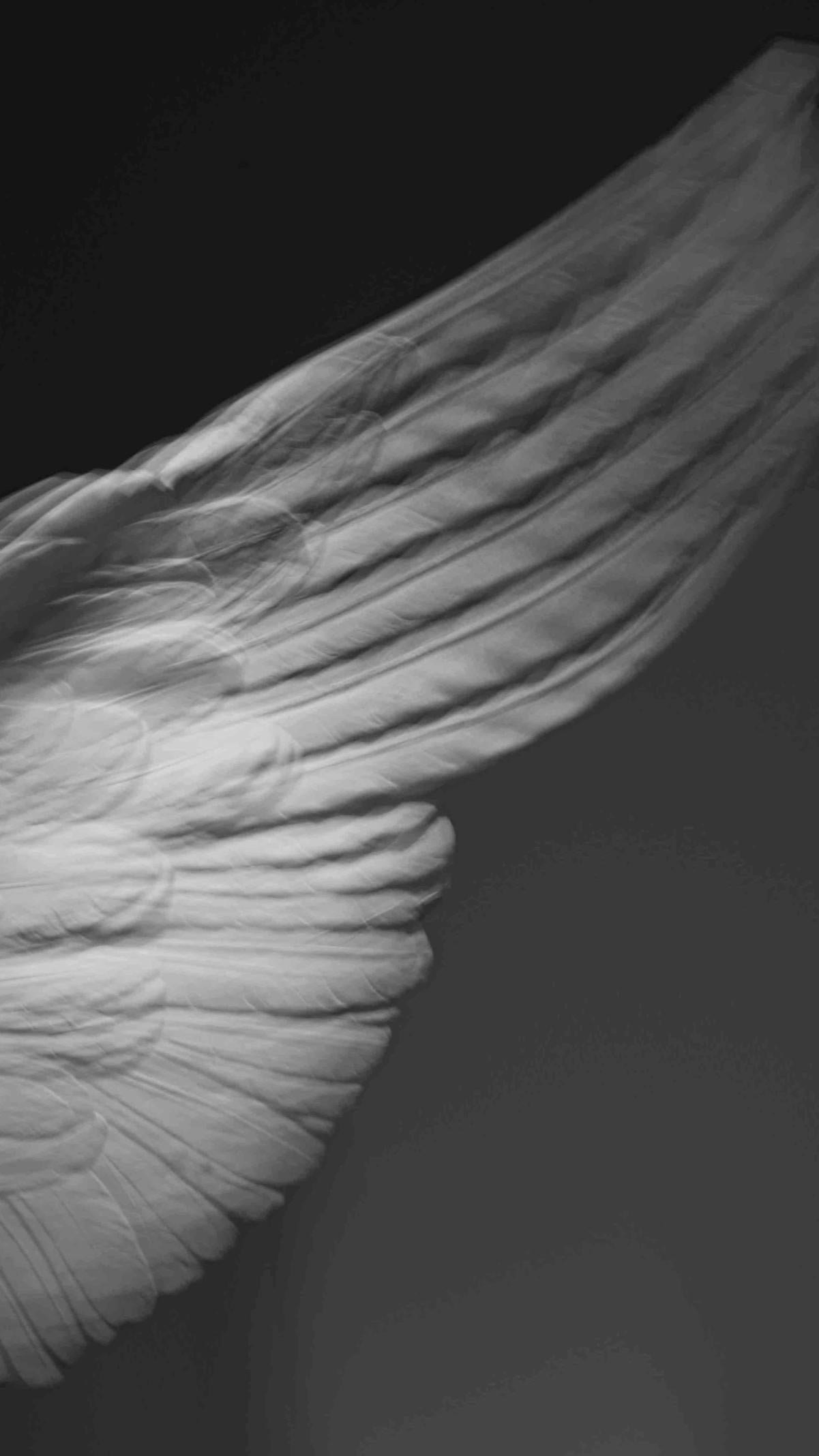 Roma 2021 C Fori 23bn, 2021. Noir et blanc, Photographie figurative en noir et blanc en vente 1