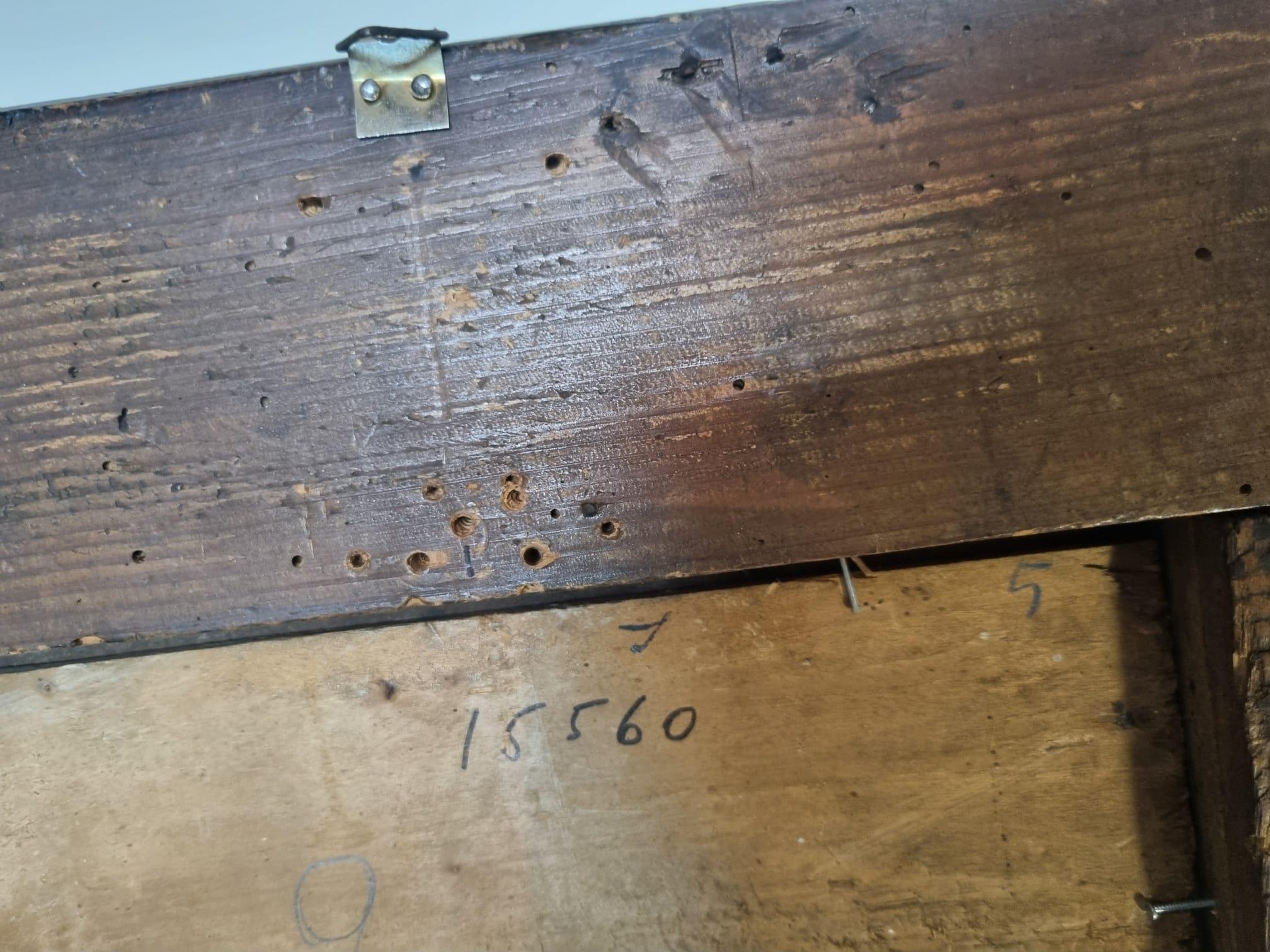 17ème siècle par Luca Forte Noyers, châtaigniers, un banc de raisins et un Quince en vente 3