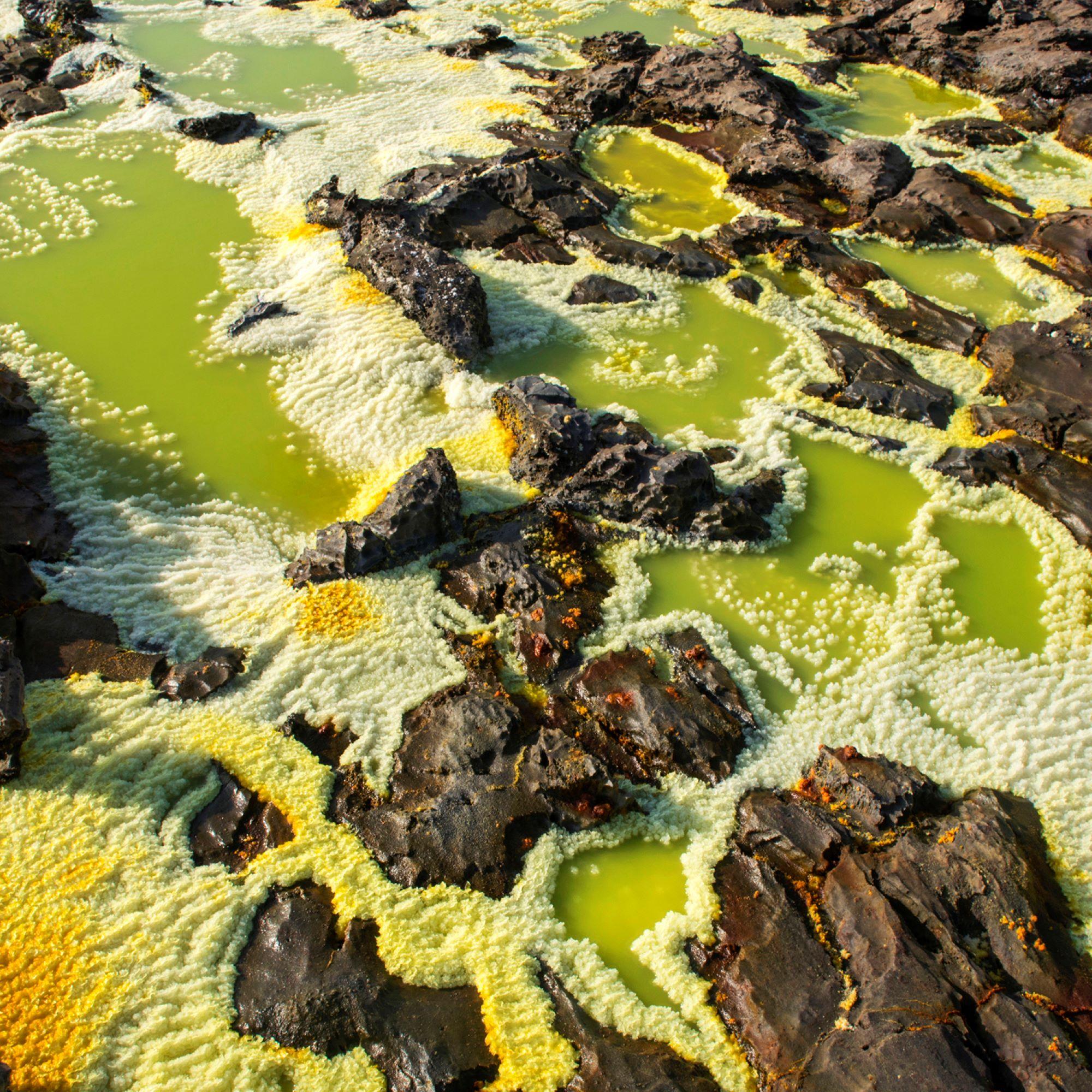 Afar III de Luca Marziale - Fotografía artística abstracta, verde, naturaleza, rocas