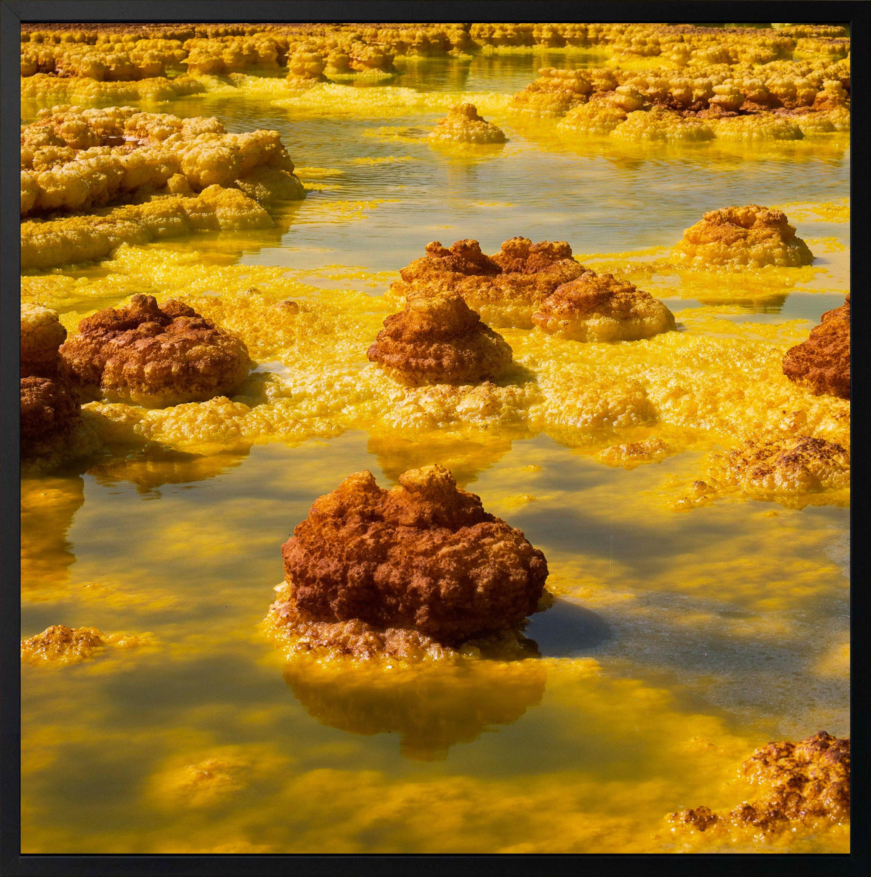 Afar XV de Luca Marziale - Fotografía artística abstracta, primer plano, amarillo en venta 2