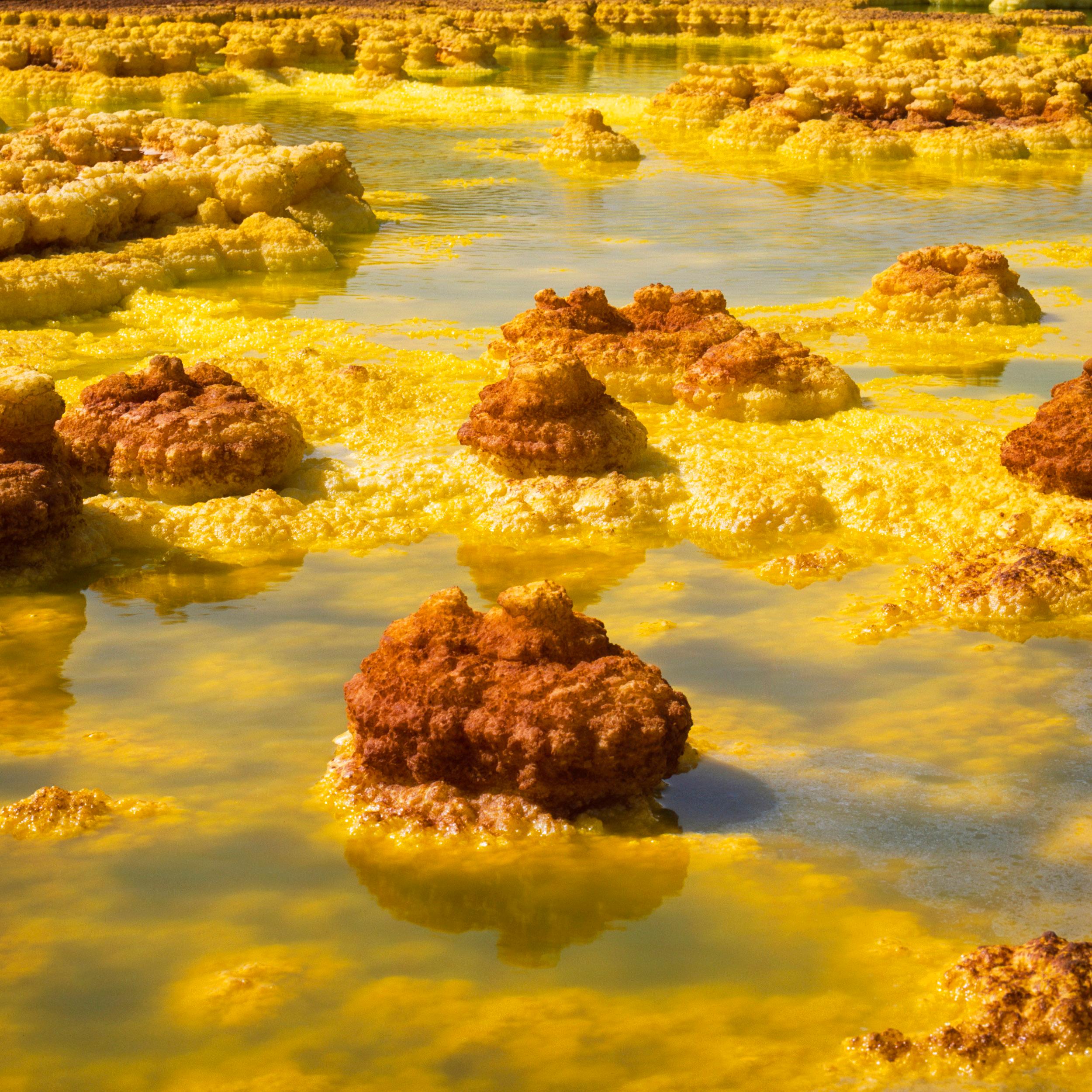 Afar XV es una fotografía en edición limitada del artista contemporáneo Luca Marziale. 

Esta fotografía se vende sin enmarcar como impresión únicamente. Está disponible en 2 dimensiones:
*76,2 × 76,2 cm (30 × 30 pulg.), edición de 10 ejemplares.