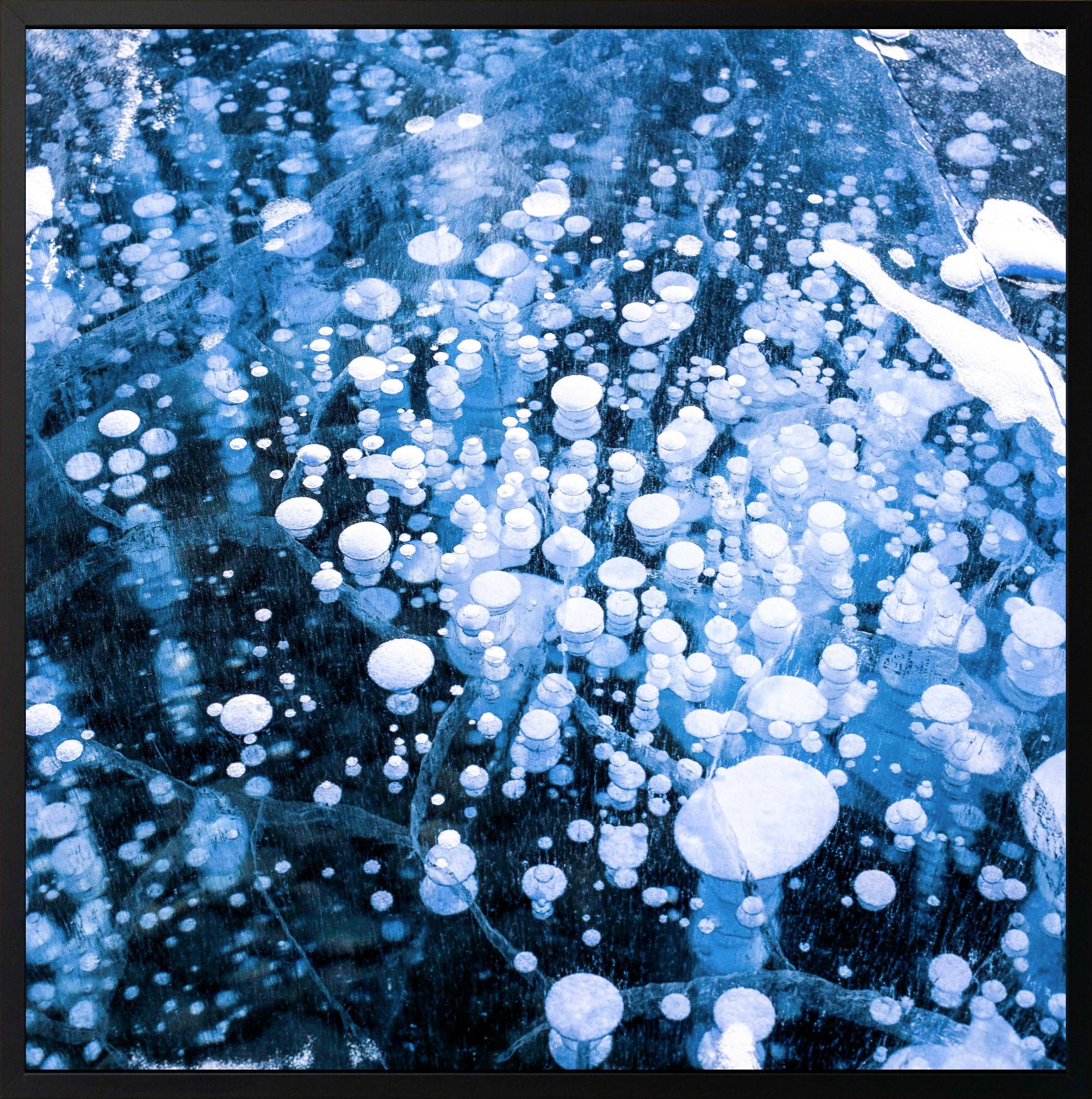 Cryo V de Luca Marziale  - Fotografía de paisaje, Lago Abraham, Canadá, hielo en venta 2
