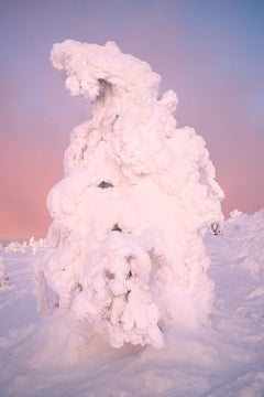 Engulfed de Luca Marziale - Photographie contemporaine, paysage enneigé, hiver