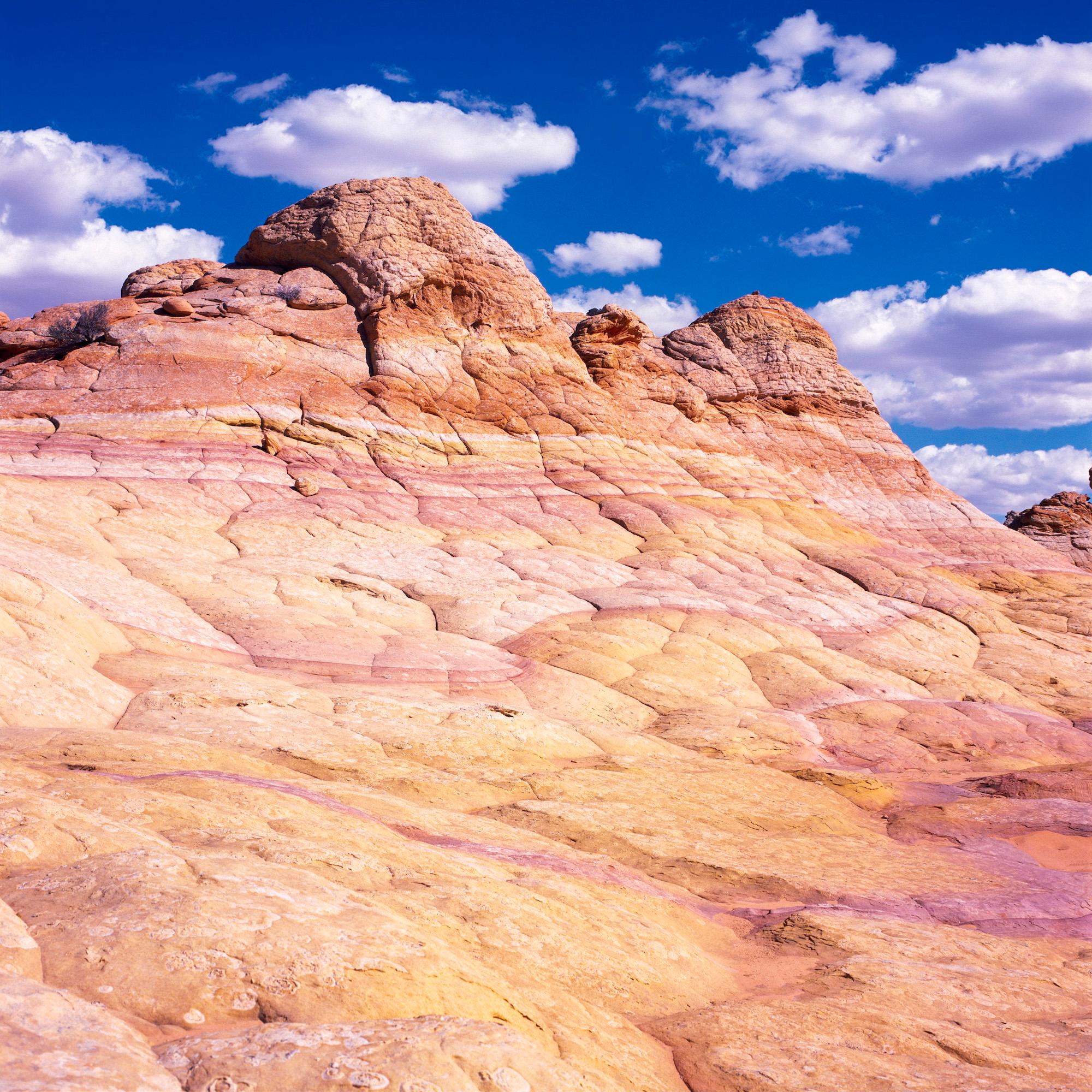 Strata XIII is a limited-edition photograph by contemporary artist Luca Marziale. 

This photograph is sold unframed as a print only. It is available in 2 dimensions:
*76.2 cm × 76.2 cm (30" × 30"), edition of 10 copies
*114.3 × 114.3 cm (45" ×