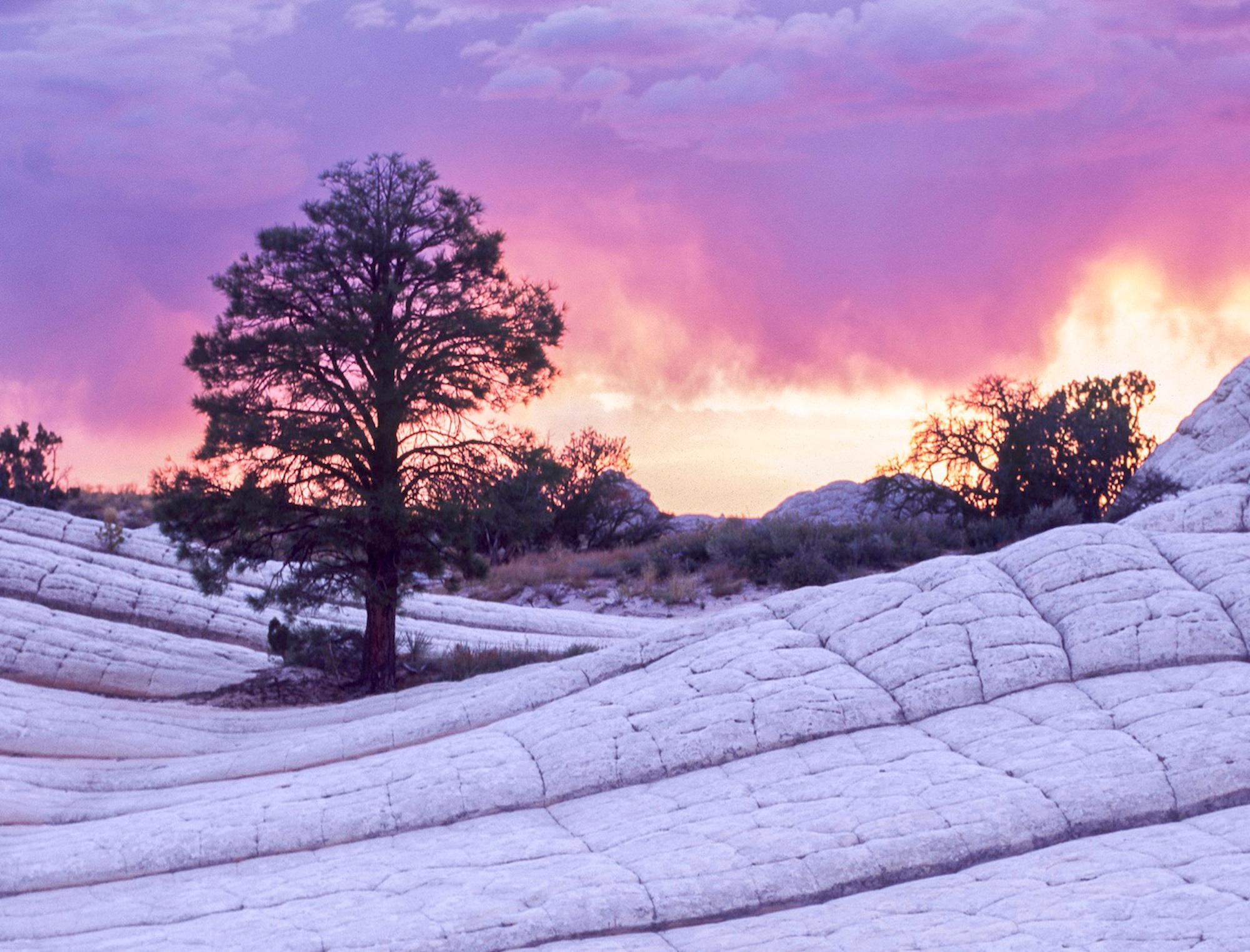 Strata XVII von Luca Marziale - Contemporary fine art photography, Landschaft im Angebot 3