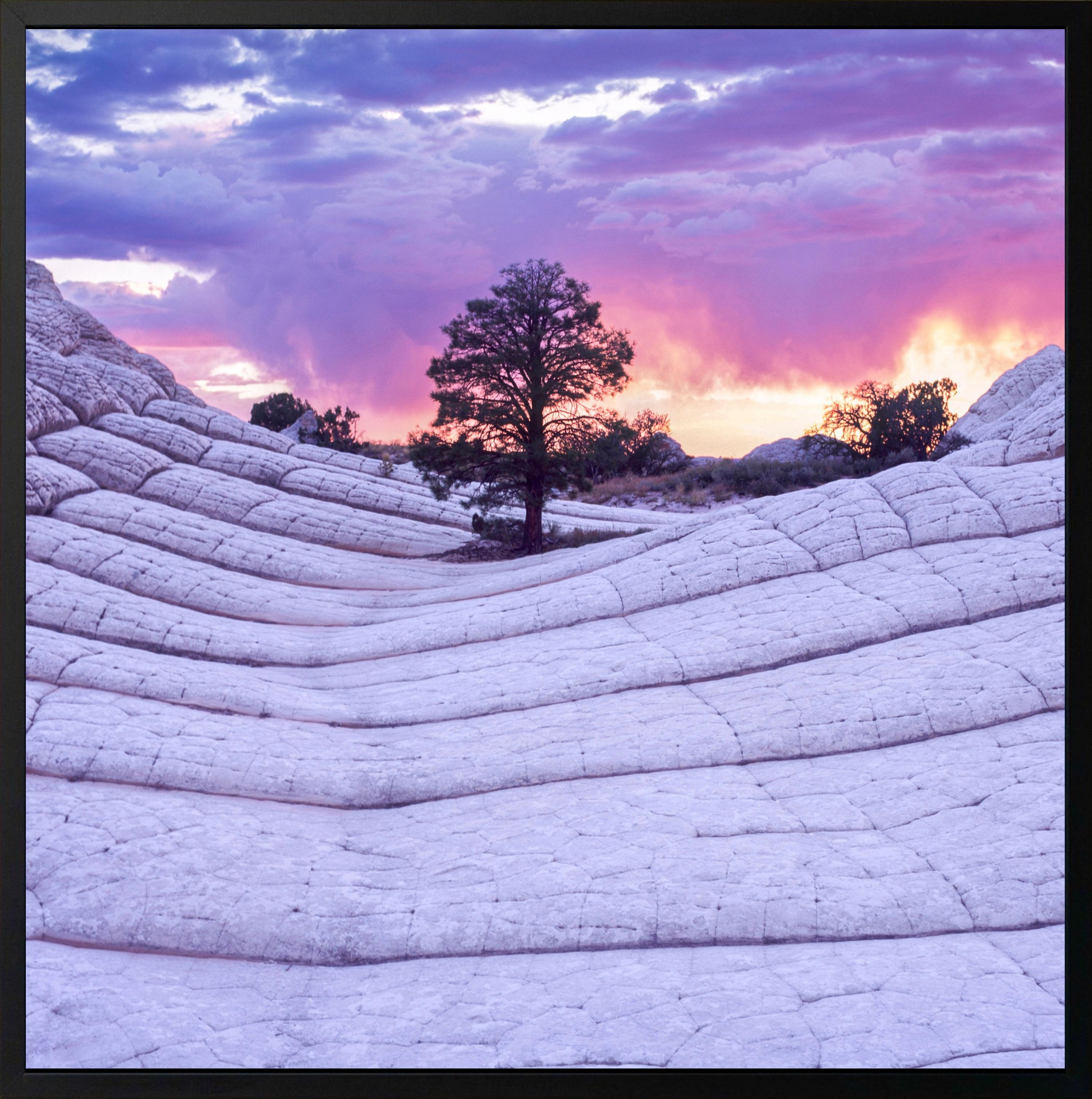 Strata XVII von Luca Marziale - Contemporary fine art photography, Landschaft im Angebot 2