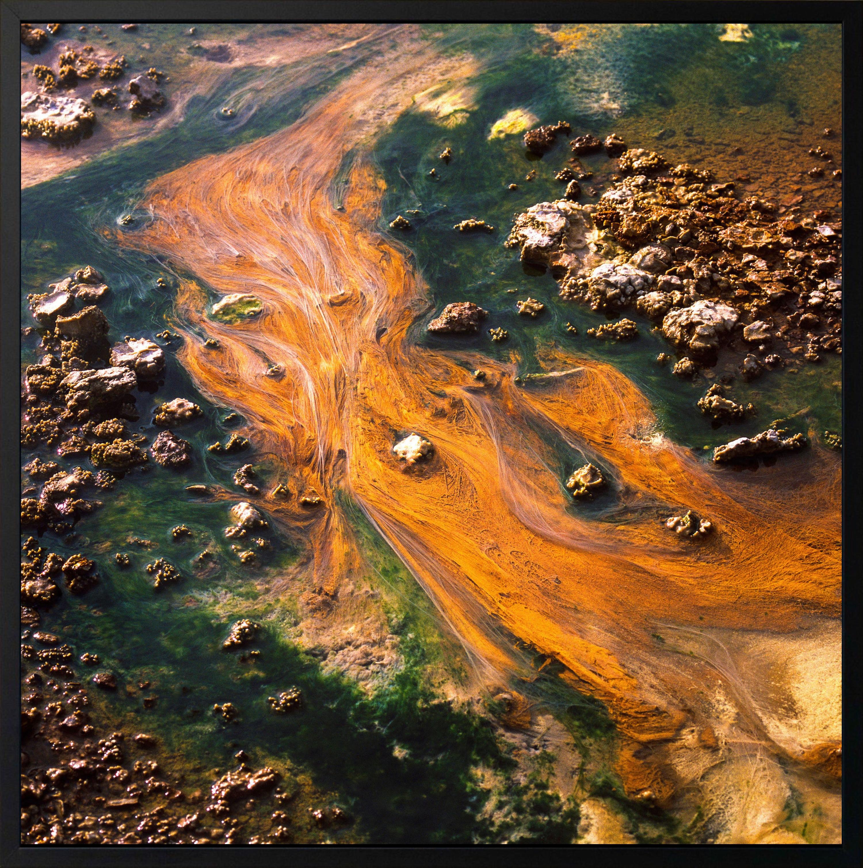 Study III by Luca Marziale - Landscape photography, Yellowstone National Park in vendita 2