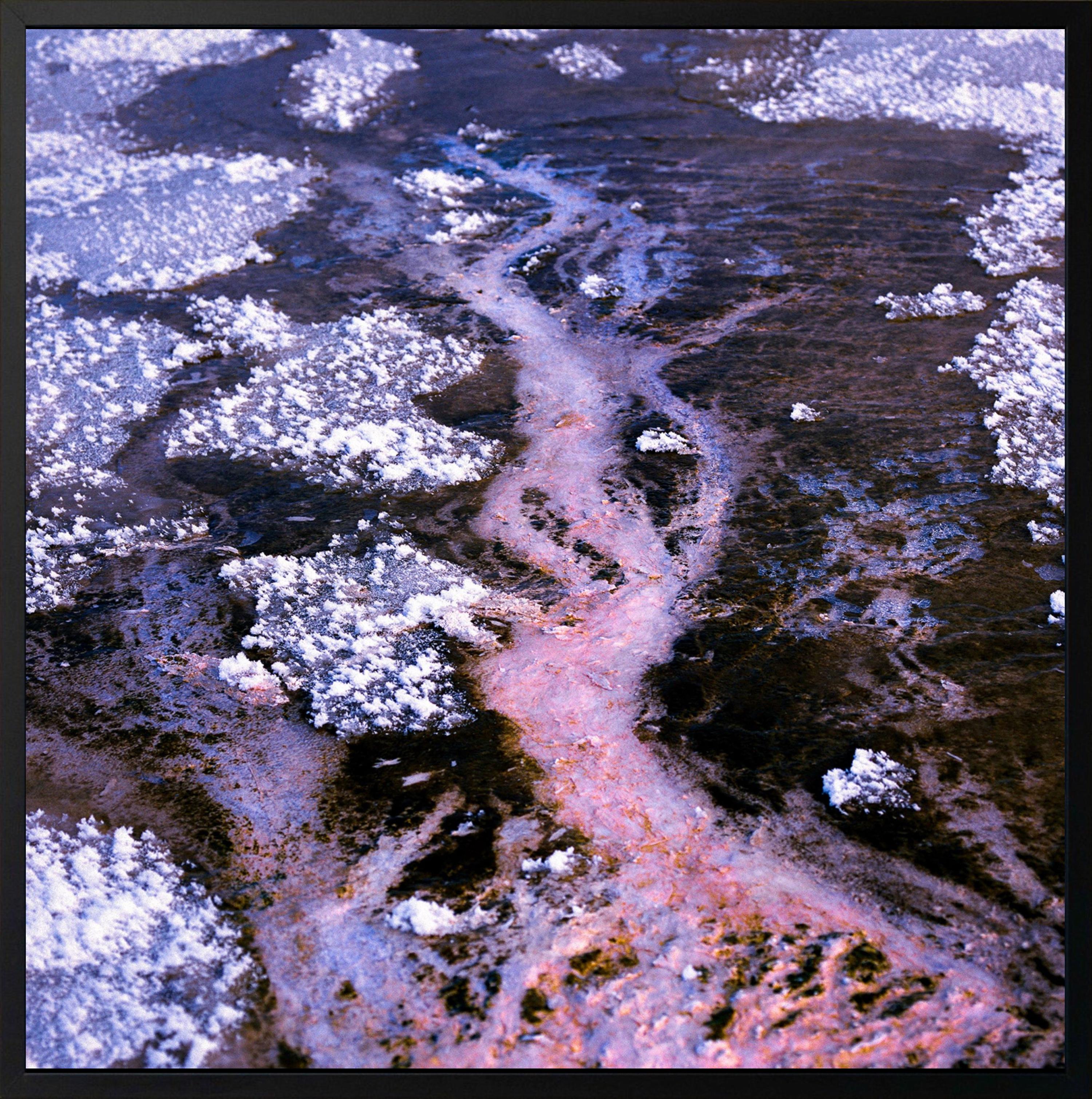 Estudio VII de Luca Marziale - Fotografía de paisaje, Parque Nacional de Yellowstone en venta 2