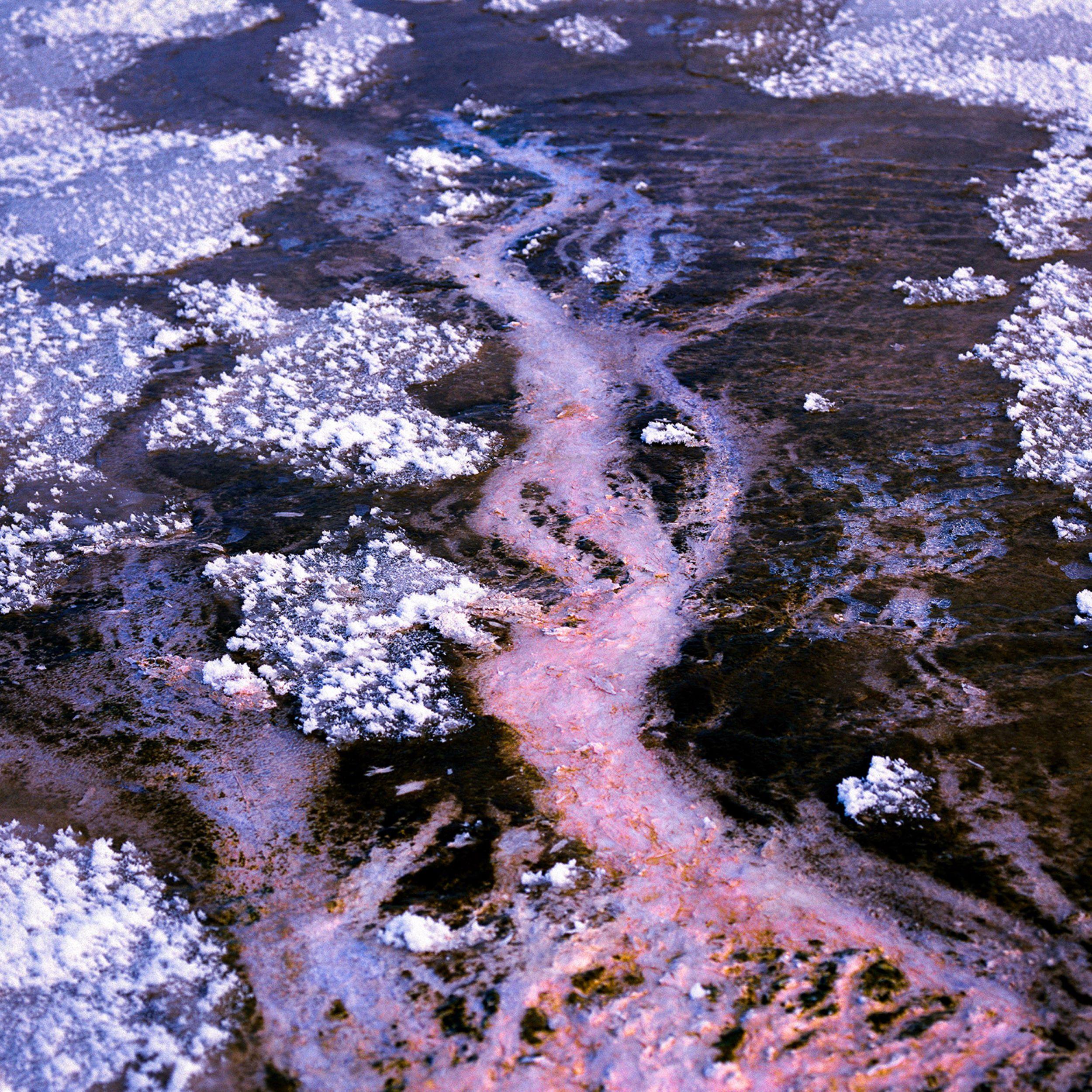 Study VII is a limited-edition photograph by contemporary artist Luca Marziale. 

This photograph is sold unframed as a print only. It is available in 2 dimensions:
*76.2 cm × 76.2 cm (30" × 30"), edition of 10 copies
*114.3 × 114.3 cm (45" × 45"),