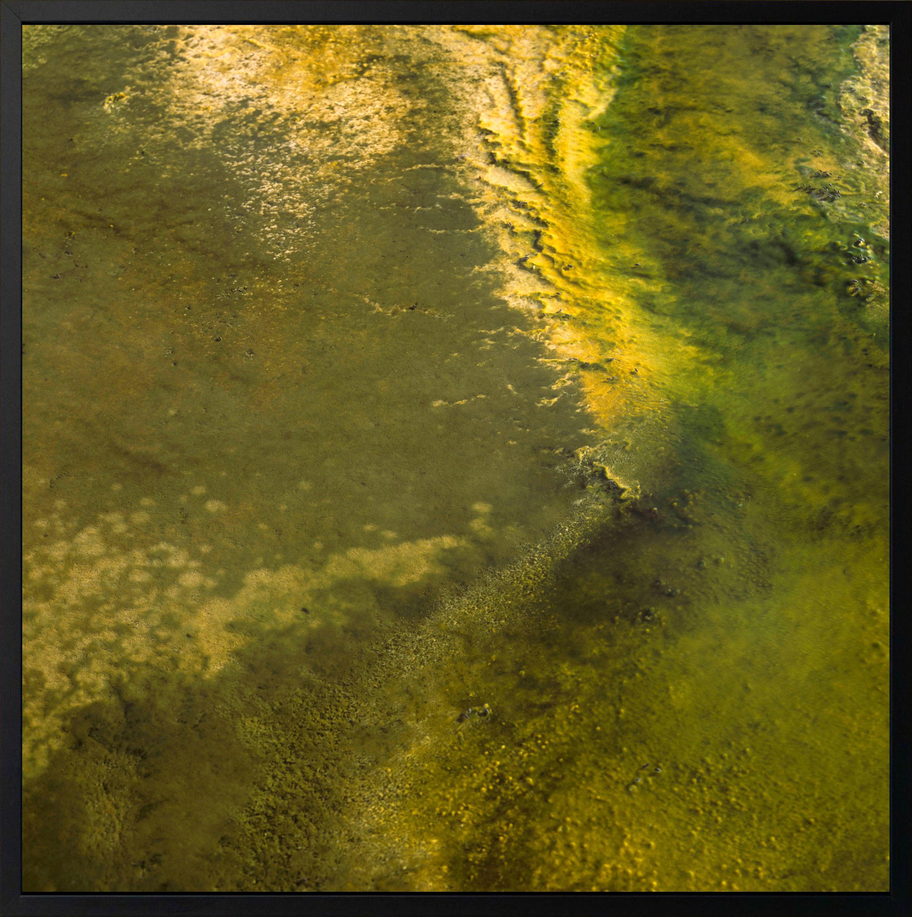 Estudio X de Luca Marziale - Fotografía de paisaje, Parque Nacional de Yellowstone en venta 2