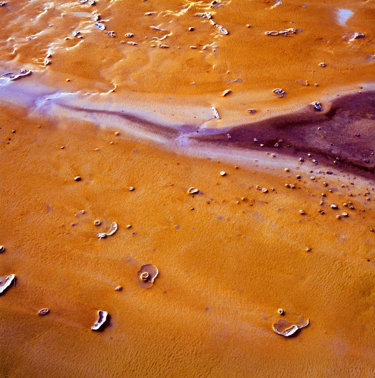 Study XVII ist eine Farbfotografie des zeitgenössischen Künstlers Luca Marziale. 
Die Serie Studies, die im Yellowstone-Nationalpark (USA) fotografiert wurde, ist der Beginn von Luca Marziales Arbeit an Mikrolandschaften. In der Tat entwickelte der