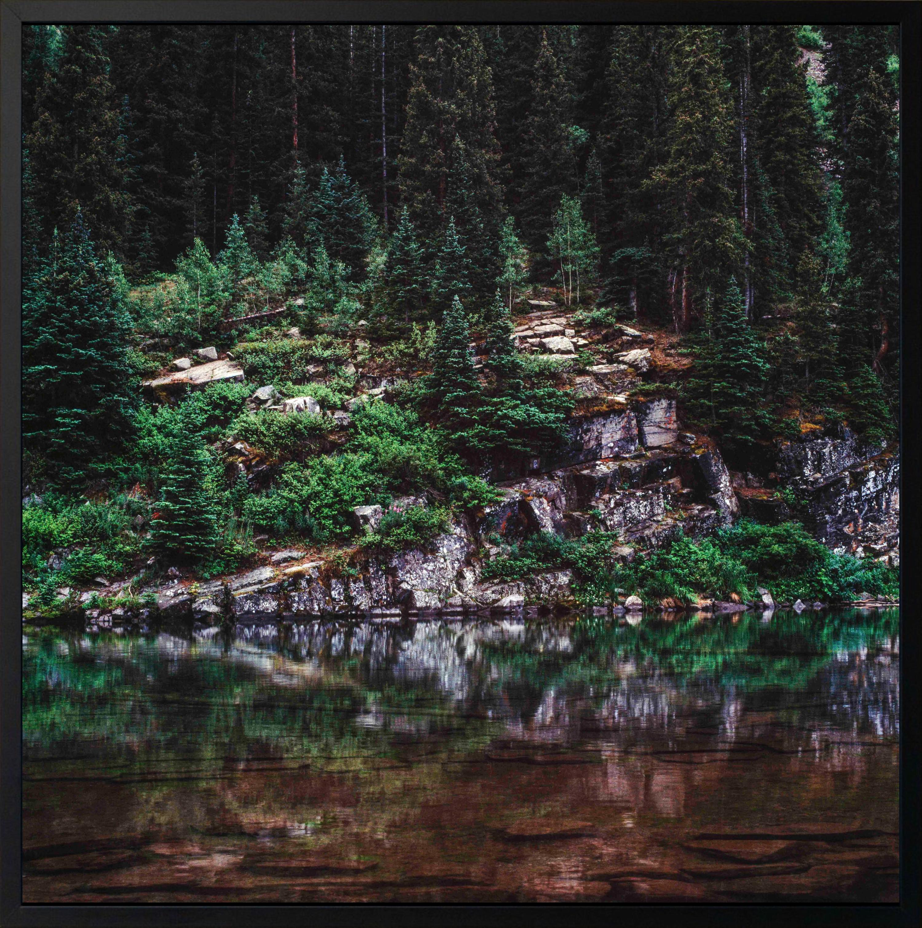 Water Front by Luca Marziale - Zeitgenössische Landschaftsfotografie, Natur, Kiefern im Angebot 2