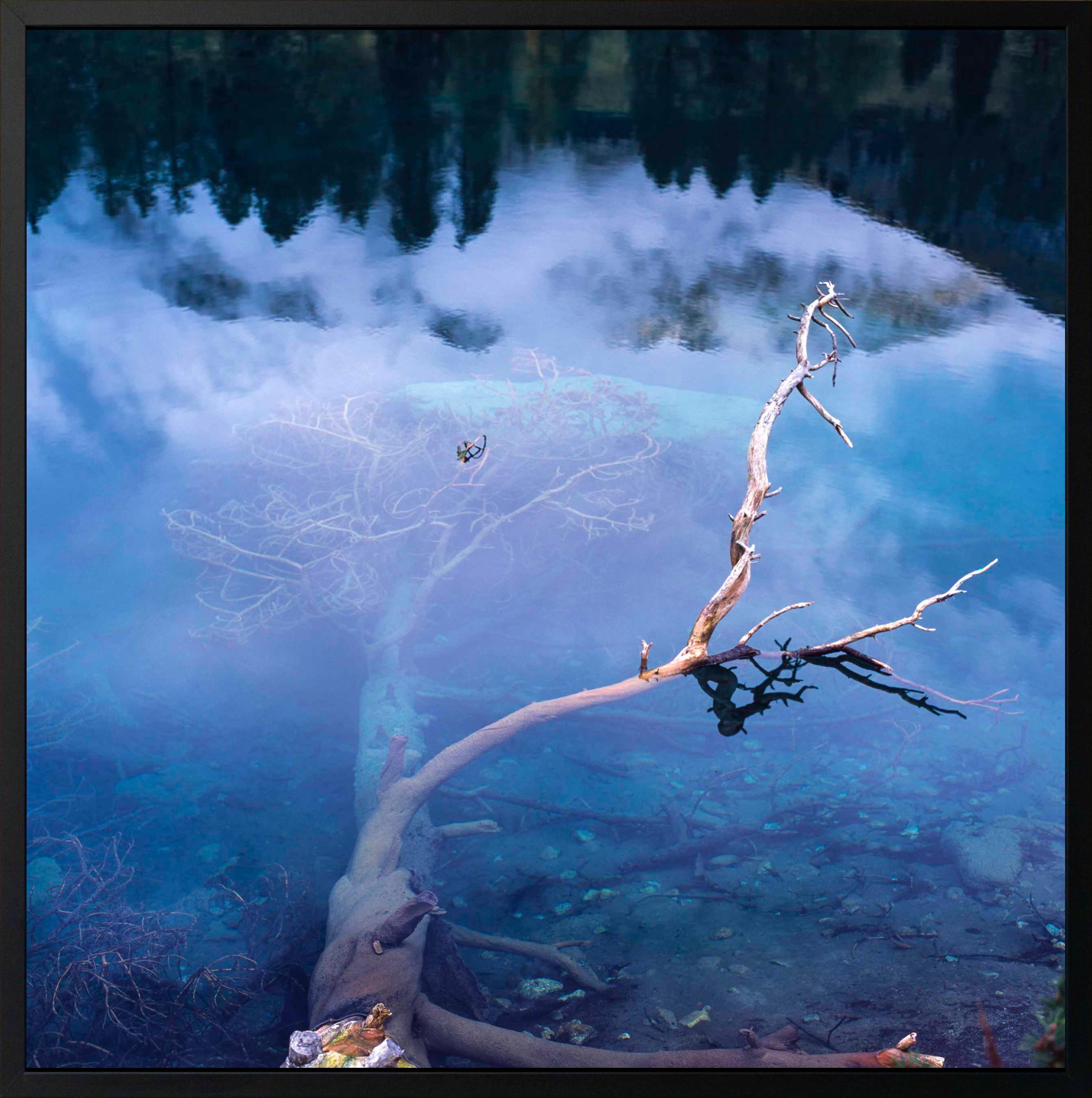 Waterlogged by Luca Marziale - Photographie contemporaine de paysage, nature, bleu en vente 2