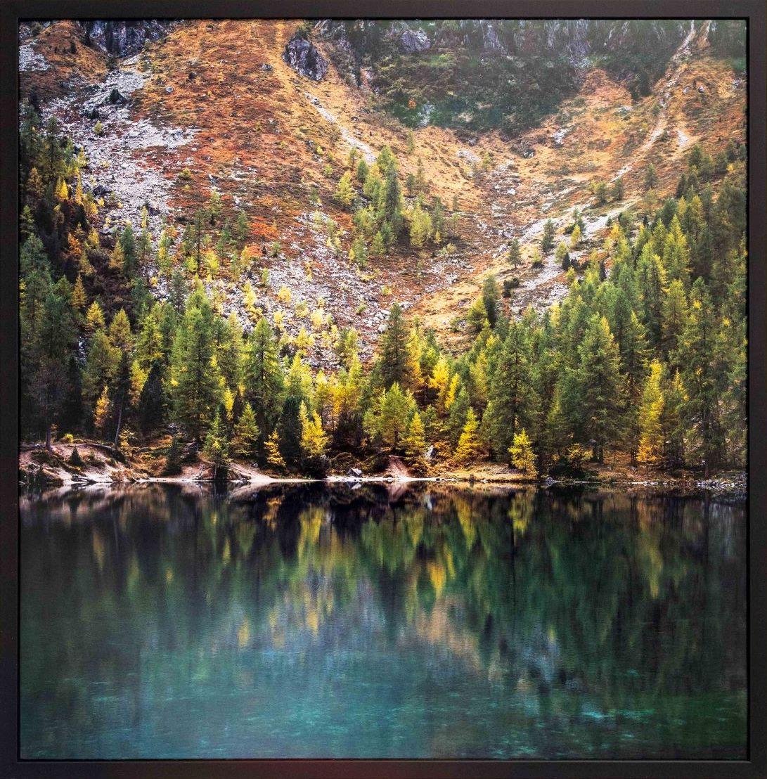 Pine d'hiver par Luca Marziale - Photographie de paysage, paysage de montagne, lac en vente 2