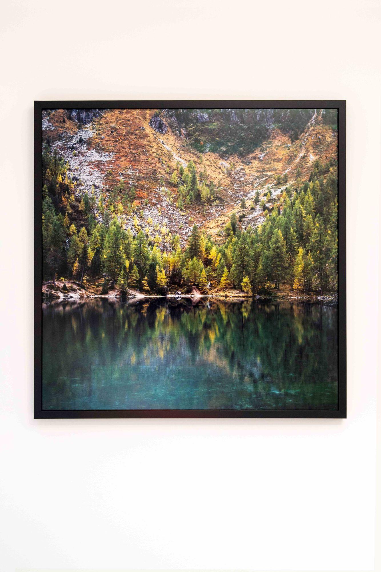 Winter Pine by Luca Marziale - Landscape photography, mountain landscape, lake For Sale 3