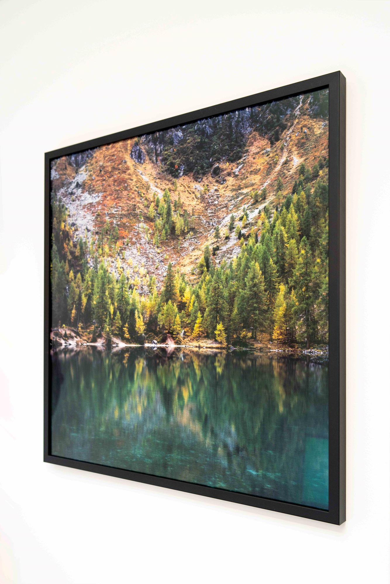 Pine d'hiver par Luca Marziale - Photographie de paysage, paysage de montagne, lac en vente 5