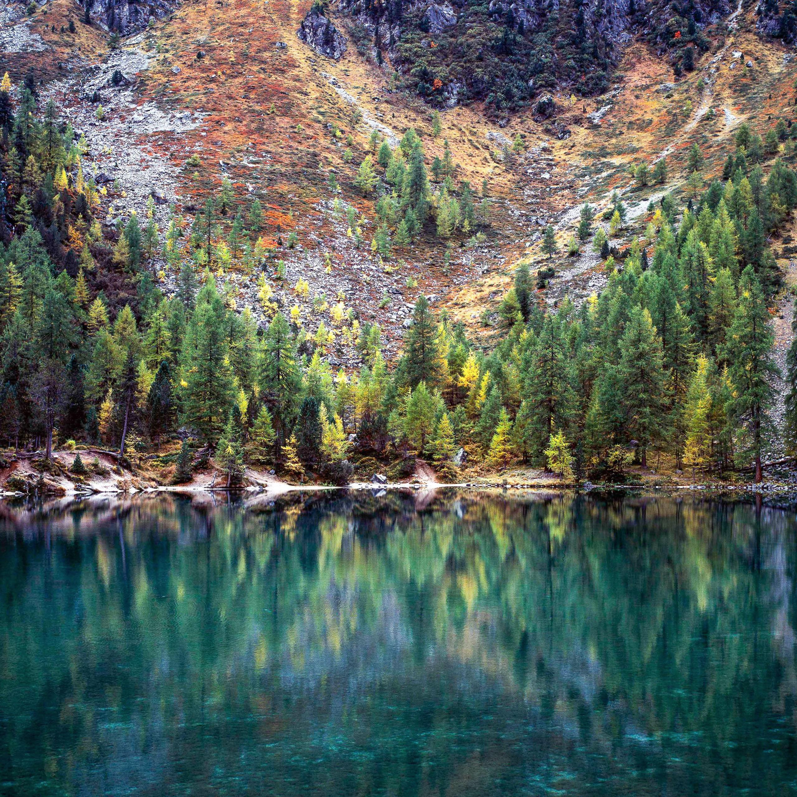 Winter Pine est une photographie en édition limitée de l'artiste contemporain Luca Marziale. 

Cette photographie est vendue non encadrée en tant que tirage uniquement. Il est disponible en 2 dimensions :
*76,2 × 76,2 cm (30" × 30"), édition de 10