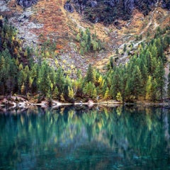 Pino de invierno de Luca Marziale - Fotografía de paisaje, paisaje de montaña, lago