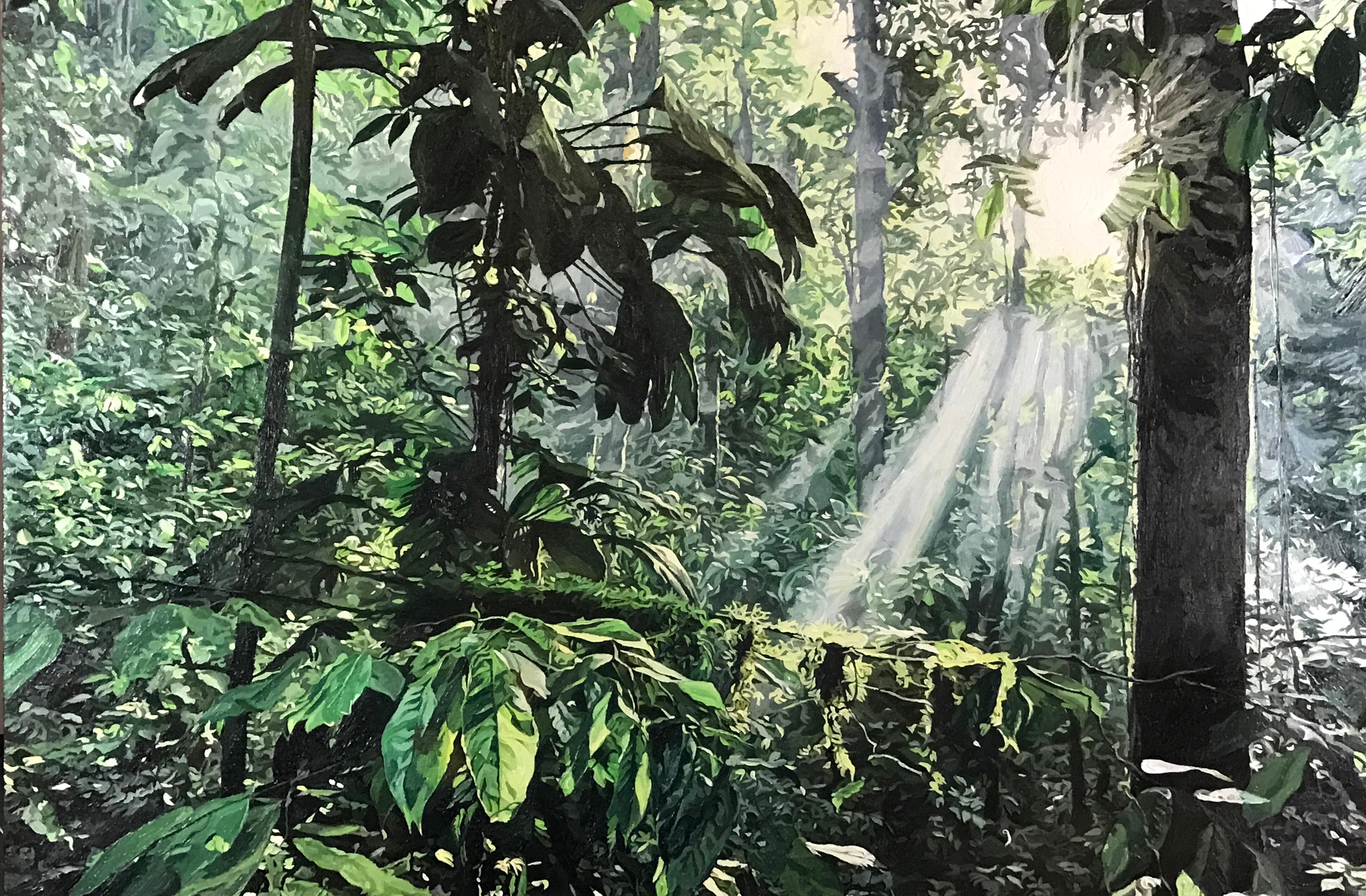 Luca Padroni Landscape Painting - Light in the Jungle