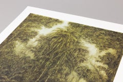 Untitled (from the Deserto-Modelo series), Limited Edition Print