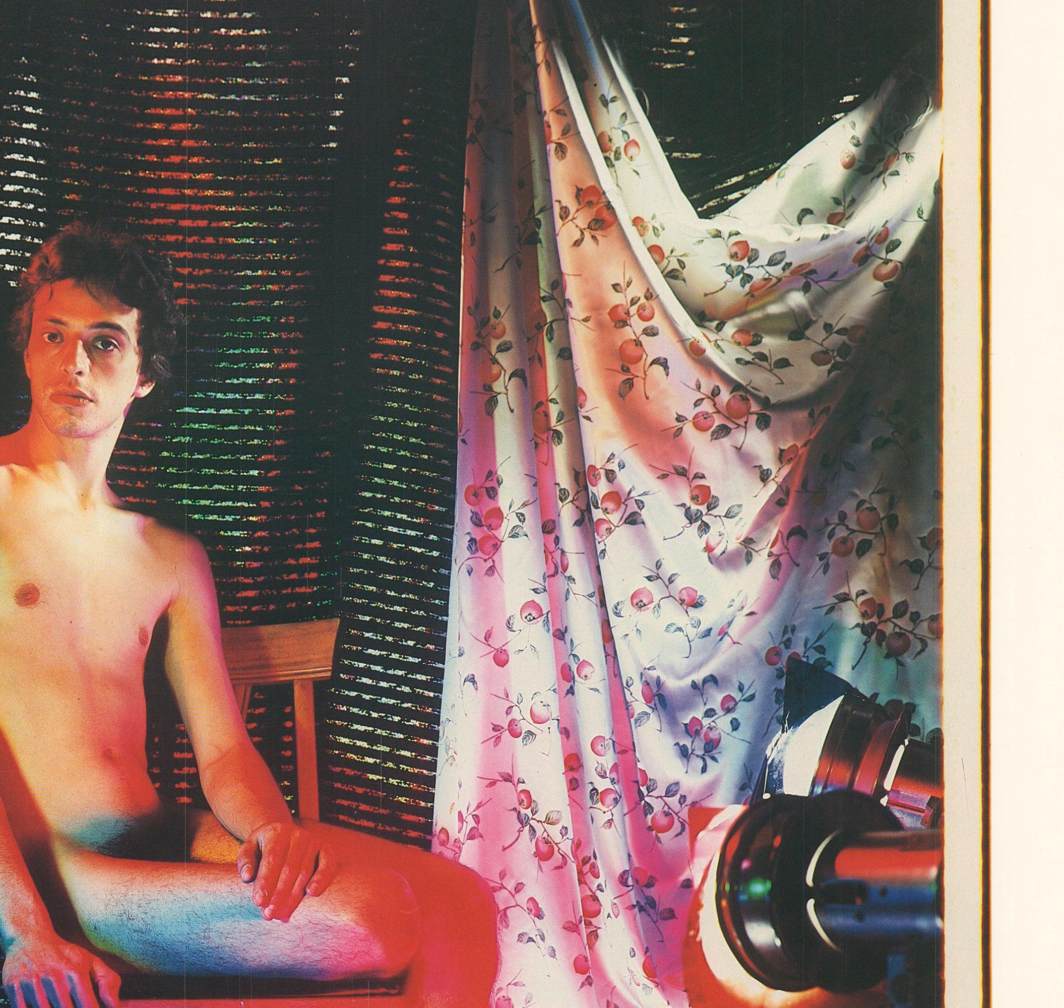 Lucas Samaras 'Polaroid Photographs 1969-1983' 1984 en vente 3