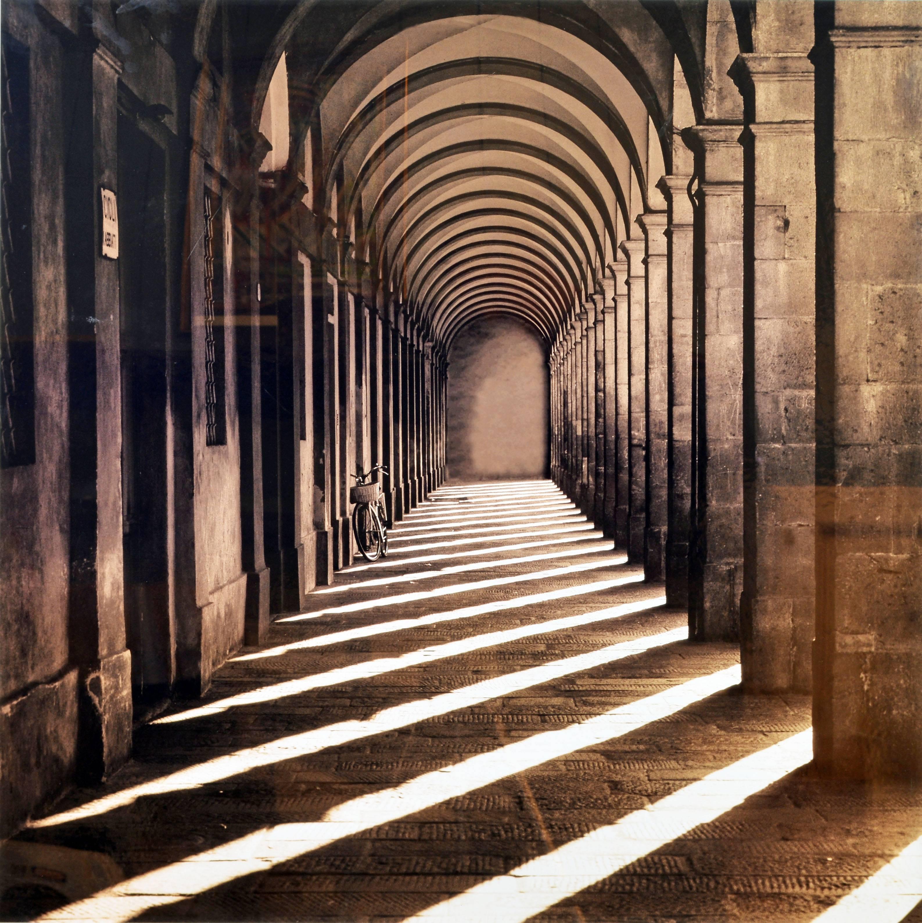 This large Sepia tone photograph from Lucca in Tuscany, Italy, measures 42 x 42 inches framed (image size 37 x 37 in.) and is a C type Lambda chromogenic photo print on Fuji Crystal Archive photo paper. It is part of a limited edition of 195.
