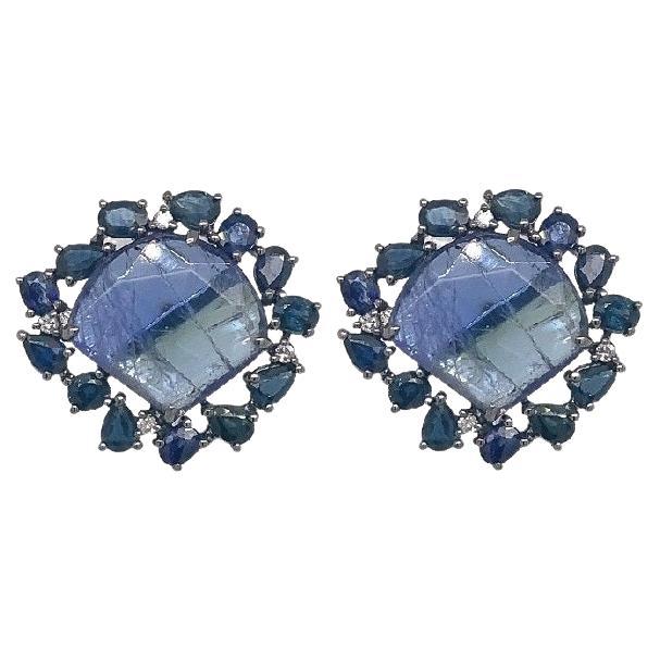 Lucea New York Tanzanite and Blue Sapphire Earrings For Sale