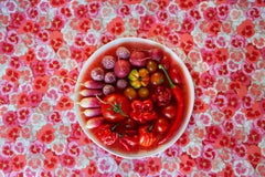 Pink Still-life Photography