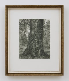 Dopo l'"Olmo" di Constable