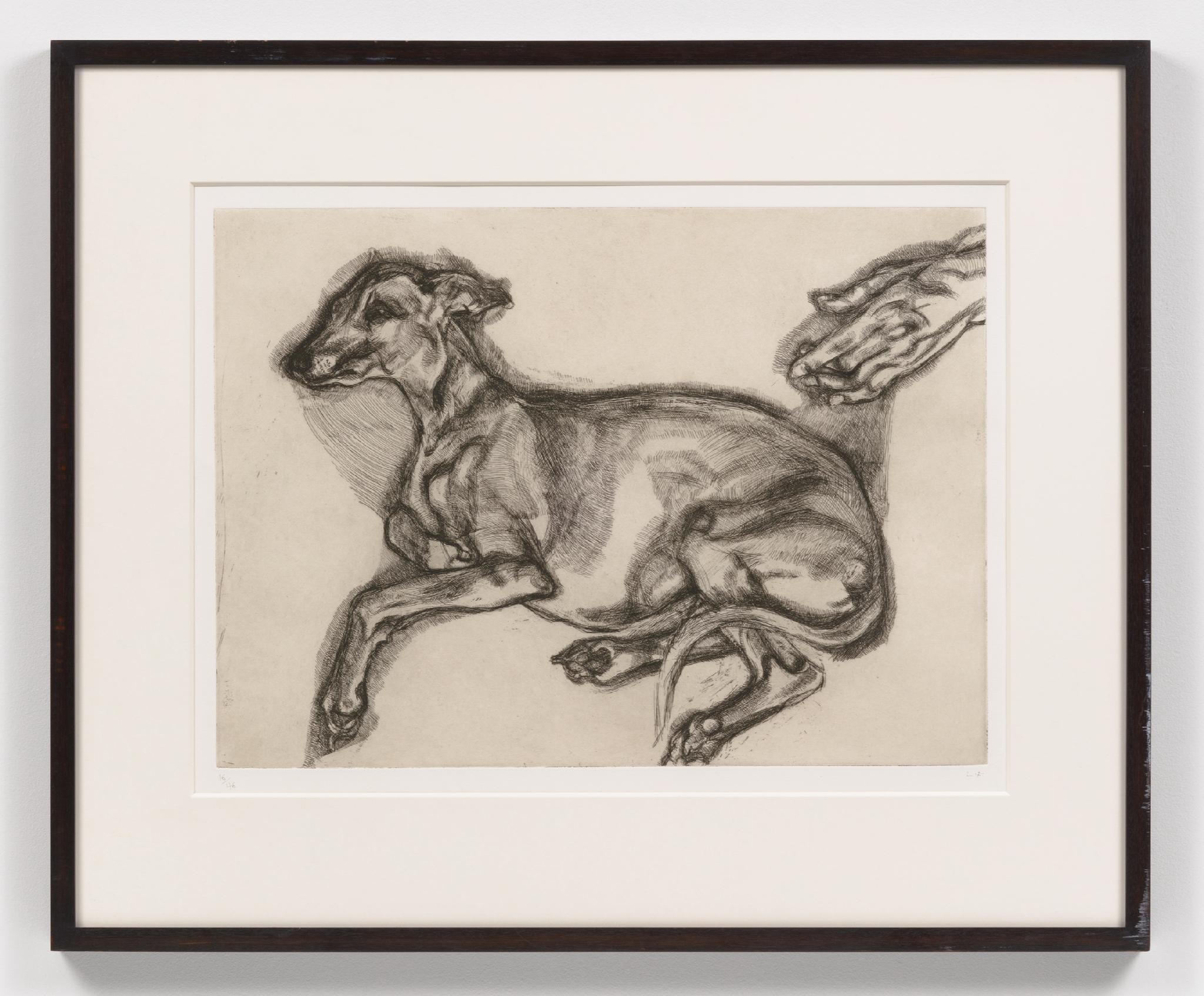 Lucian Freud Animal Print - Pluto Aged Twelve